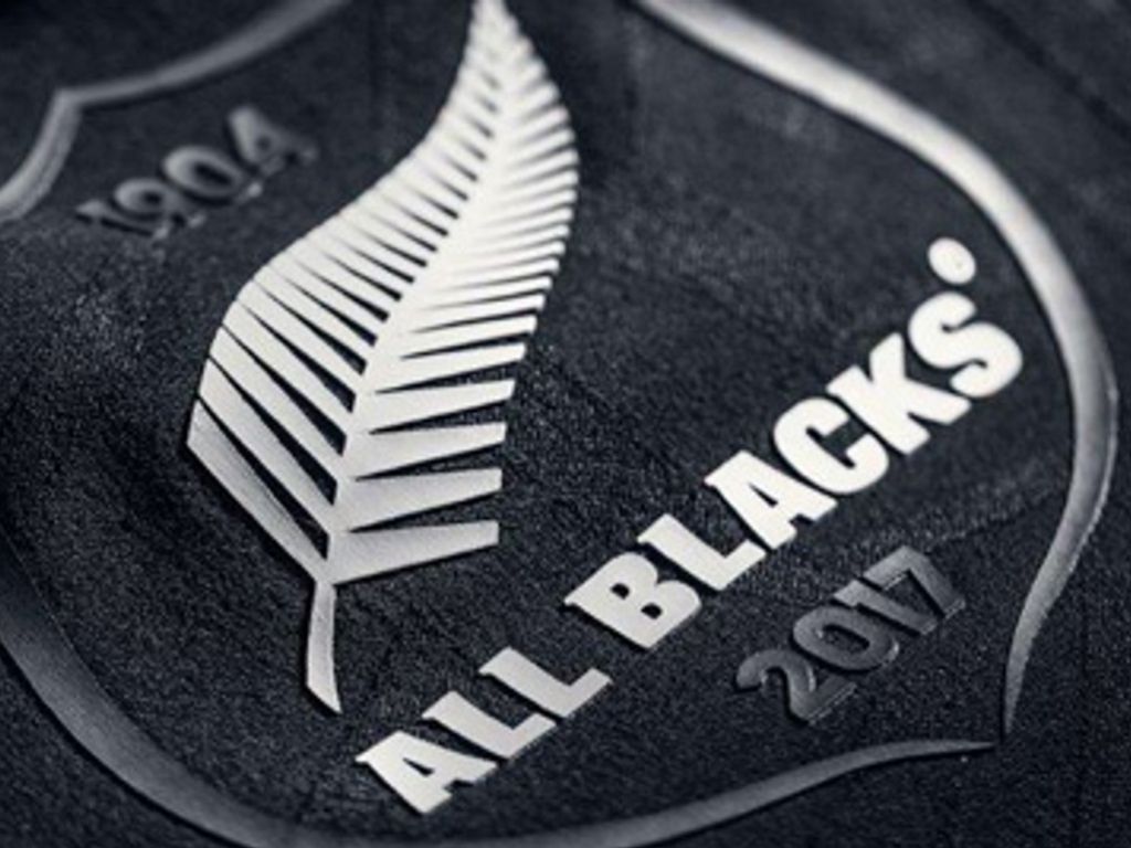 Logo All Blacks felce argento, 1024x768 HD, Desktop