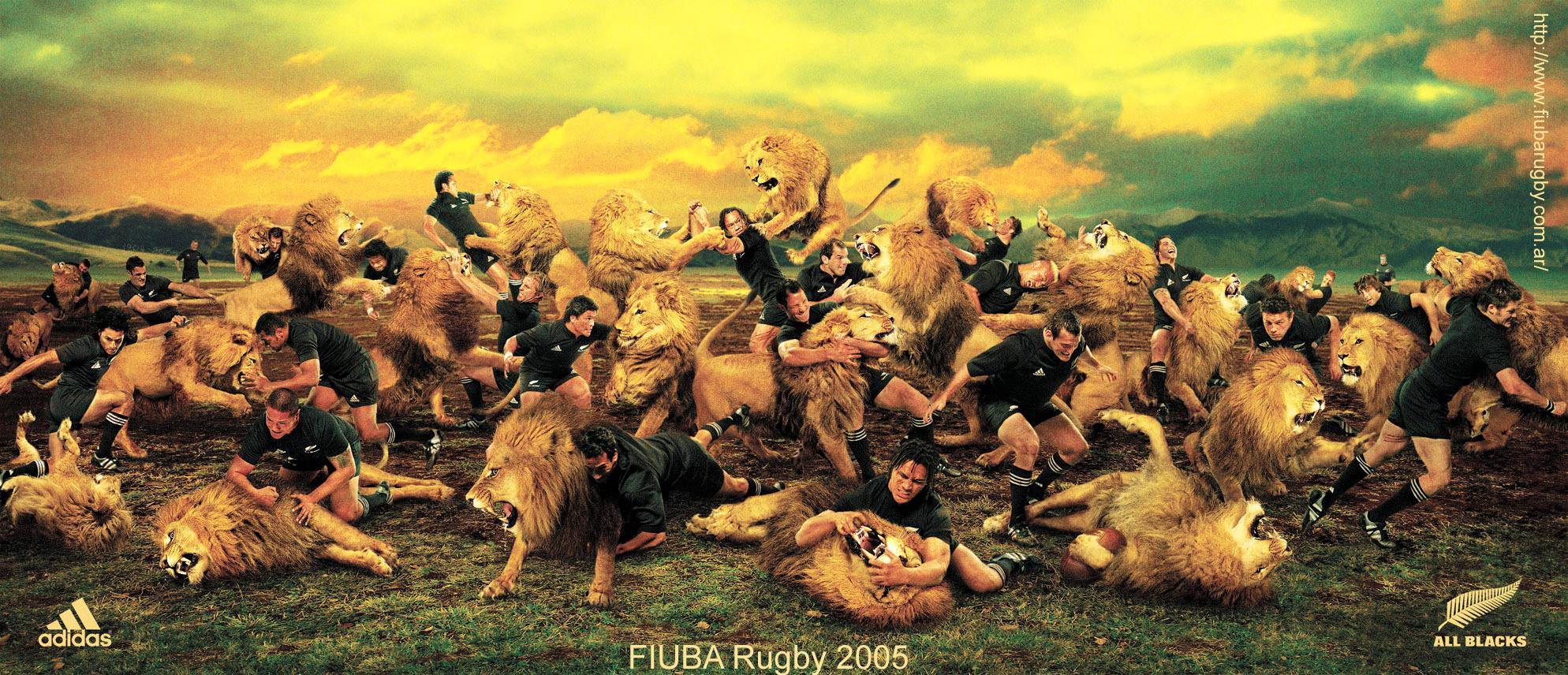 Giocatore rugby All Blacks Adidas, 1024x768 HD, PC Desktop