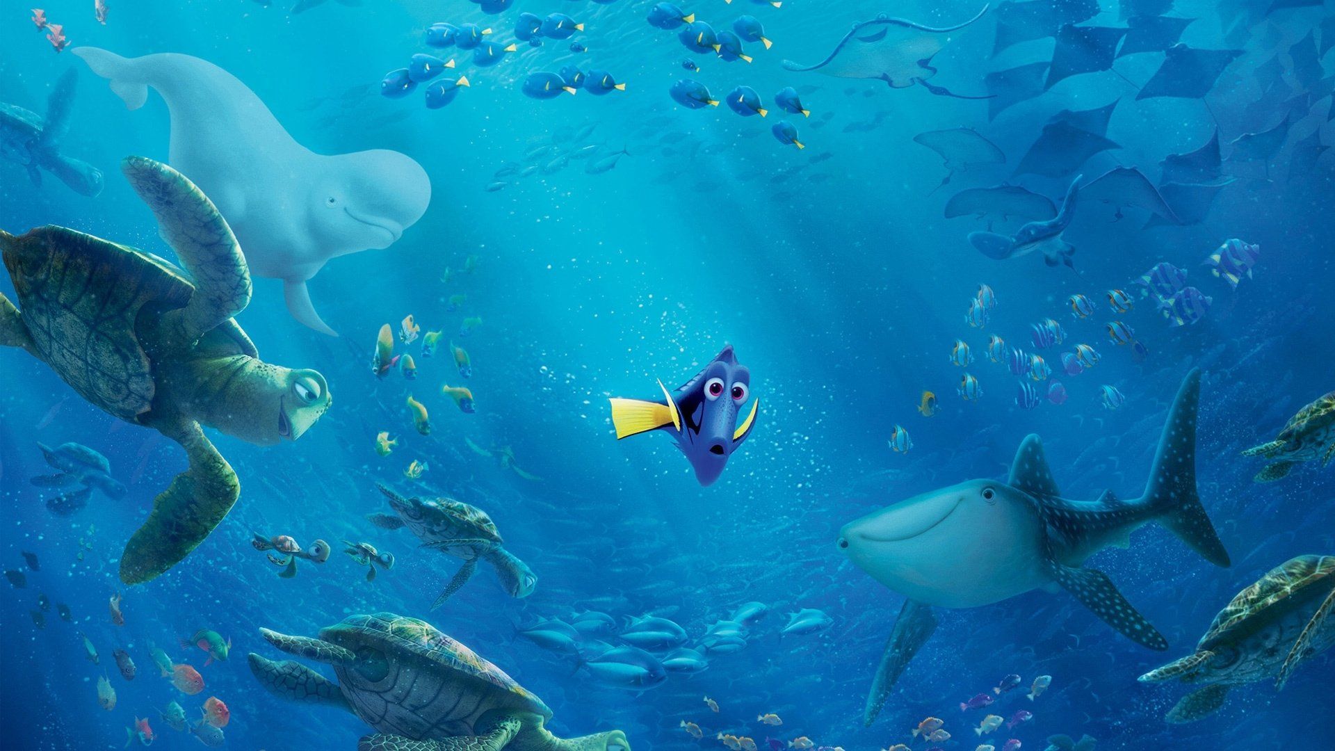 Dory tartarughe squalo oceano, 1920x1080 1080p, PC
