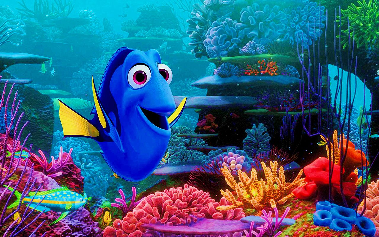 Dory pesce corallo colorato, 1280x800 HD, Desktop