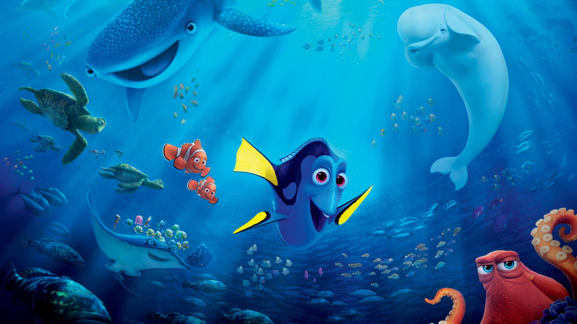 Dory Nemo personaggi marini, 1920x1080 Full HD 1080p, Laptop