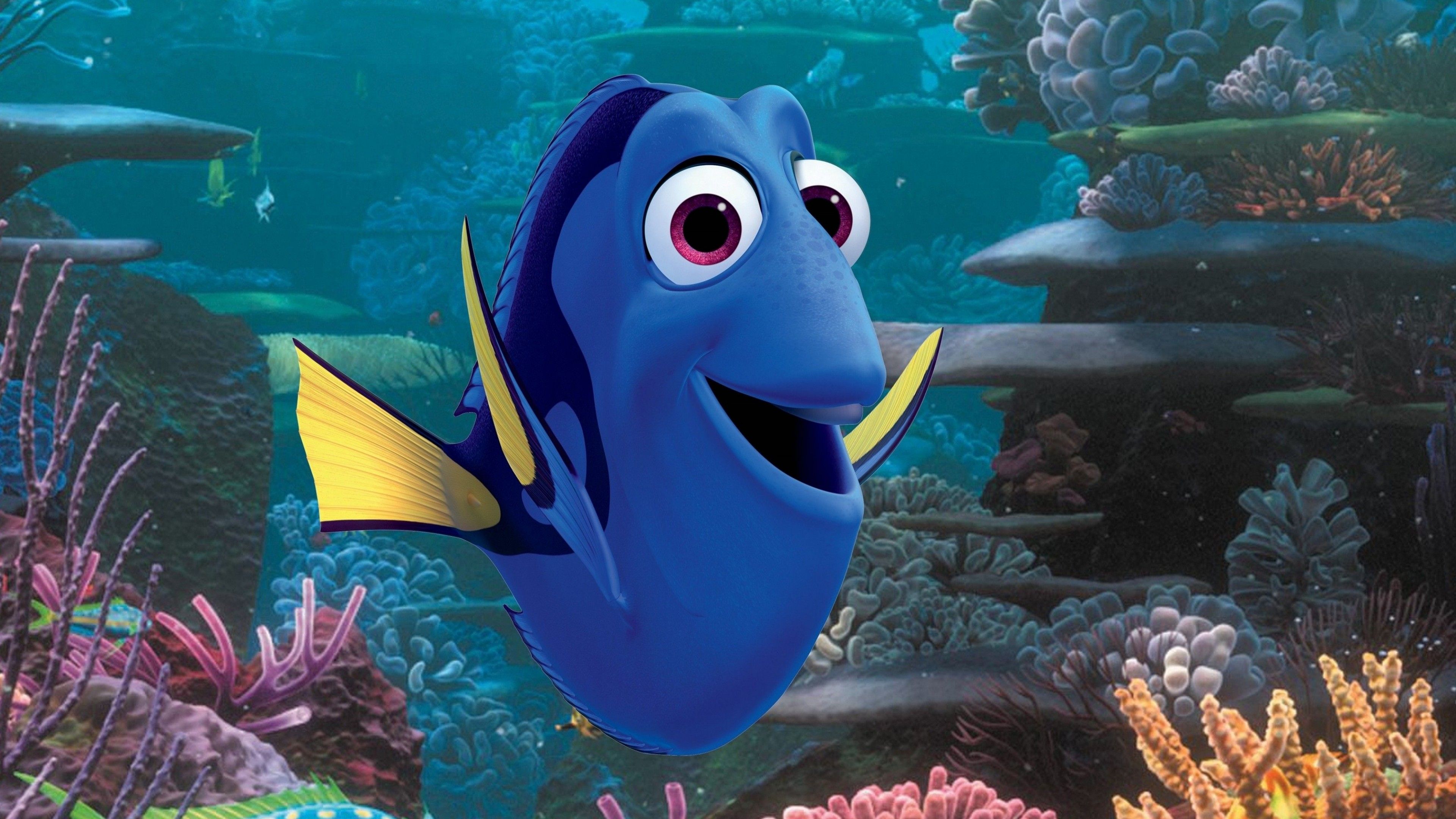 Dory pesce chirurgo blu, 3840x2160 UHD, PC 4K