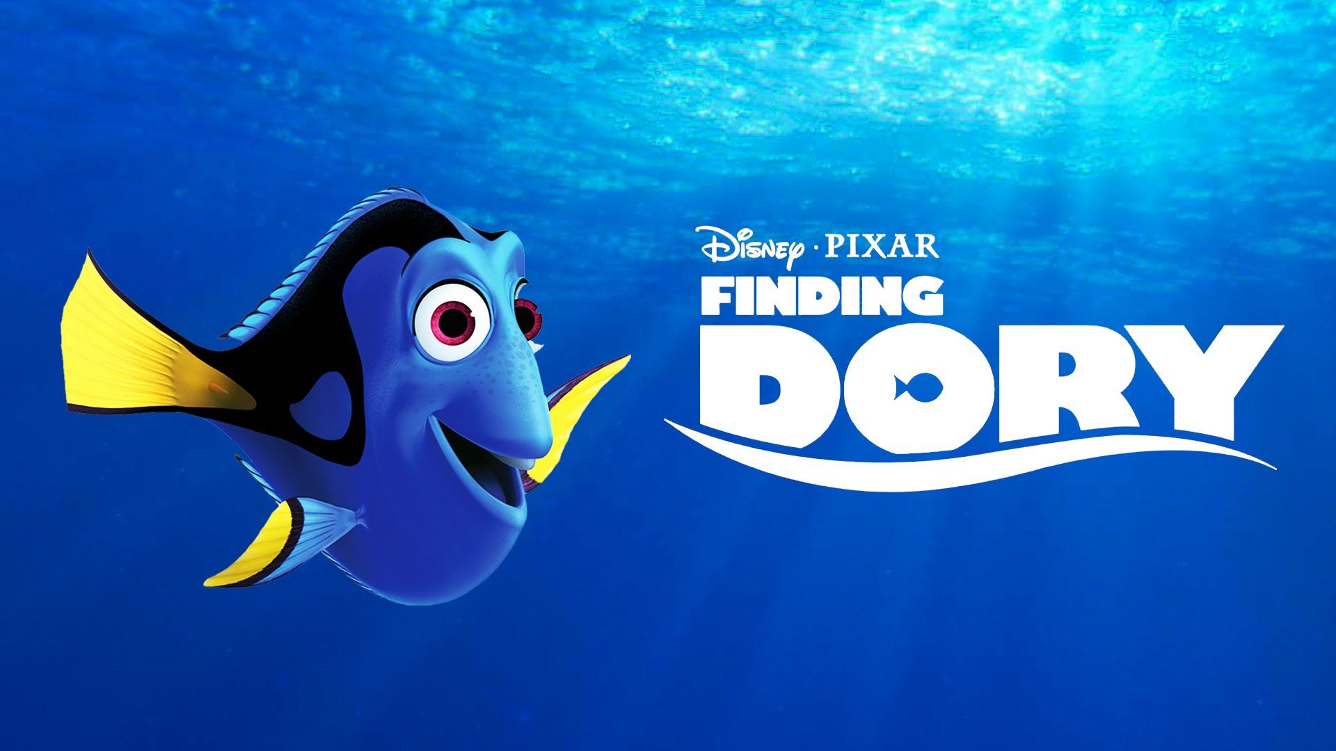 Dory pesce chirurgo blu, 1920x1080 Full HD, Laptop