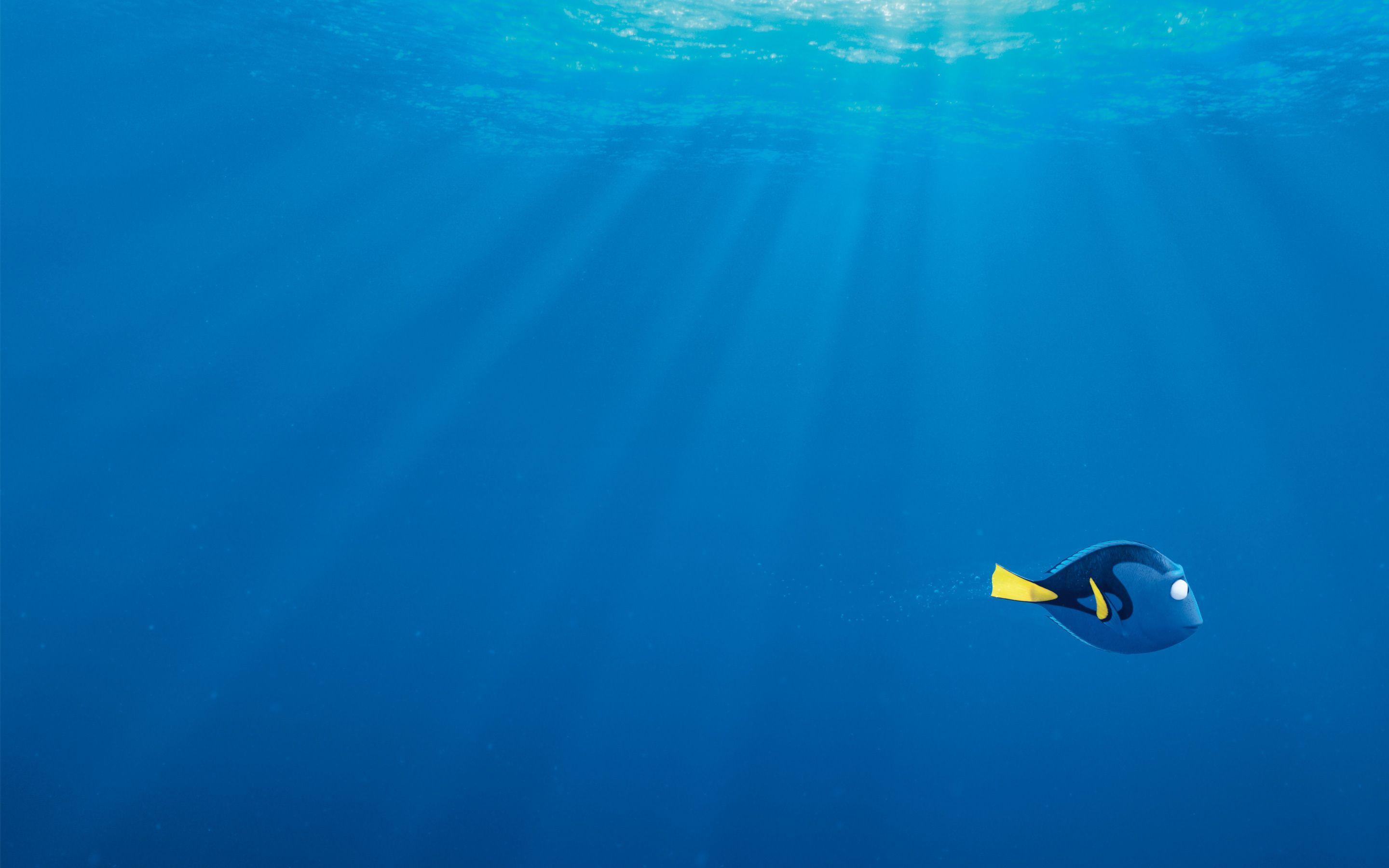 Dory pesce oceano blu, 2880x1800 2K, MacBook Pro