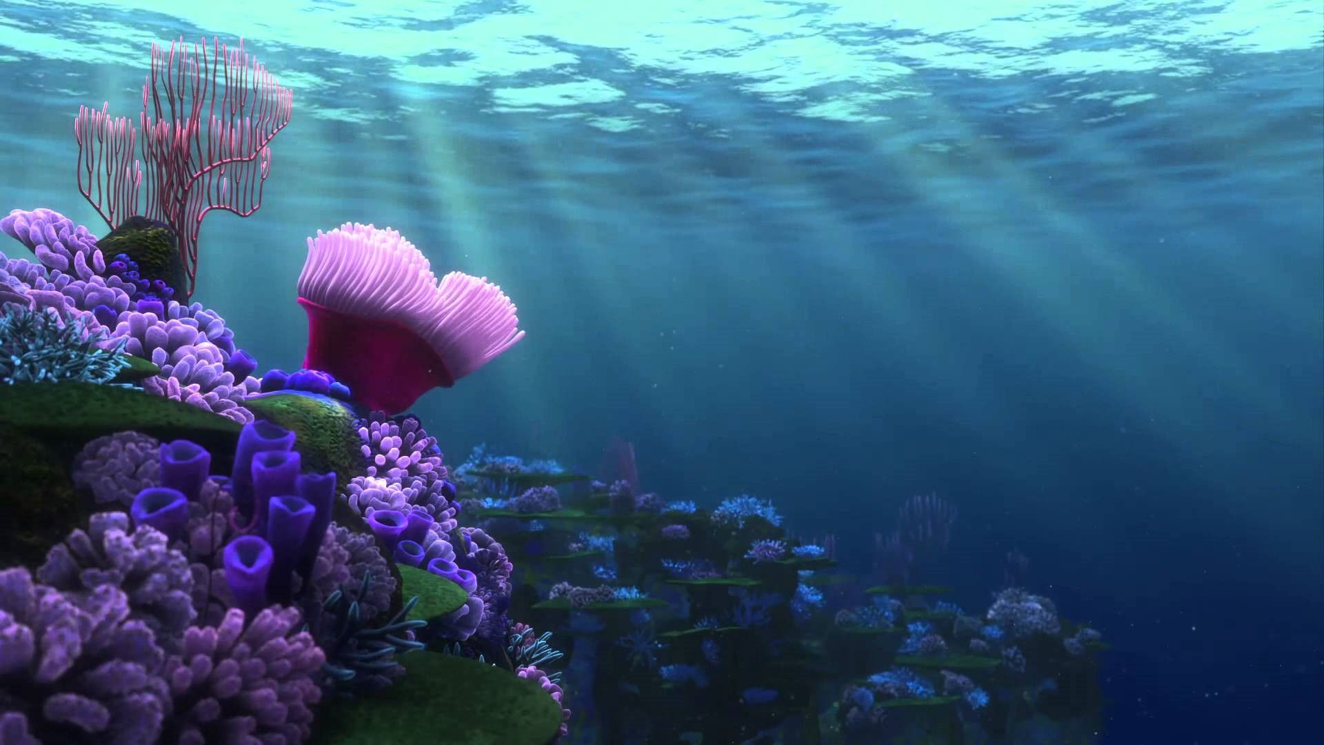 Barriera corallina oceano sottomarino, 1920x1080 Full HD 1080p, PC Desktop