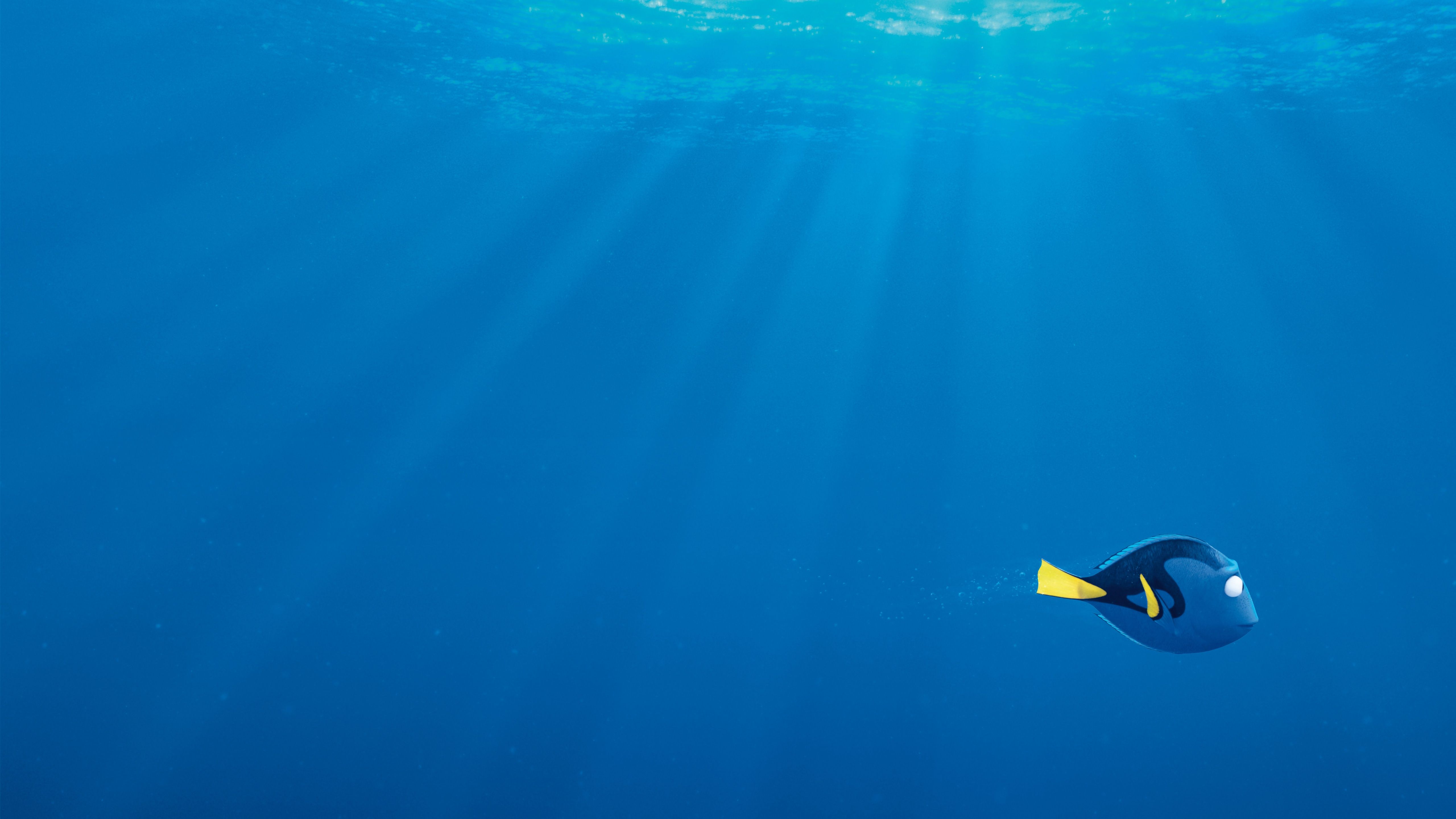 Dory nell'oceano blu, 5120x2880 4K, Desktop 4K