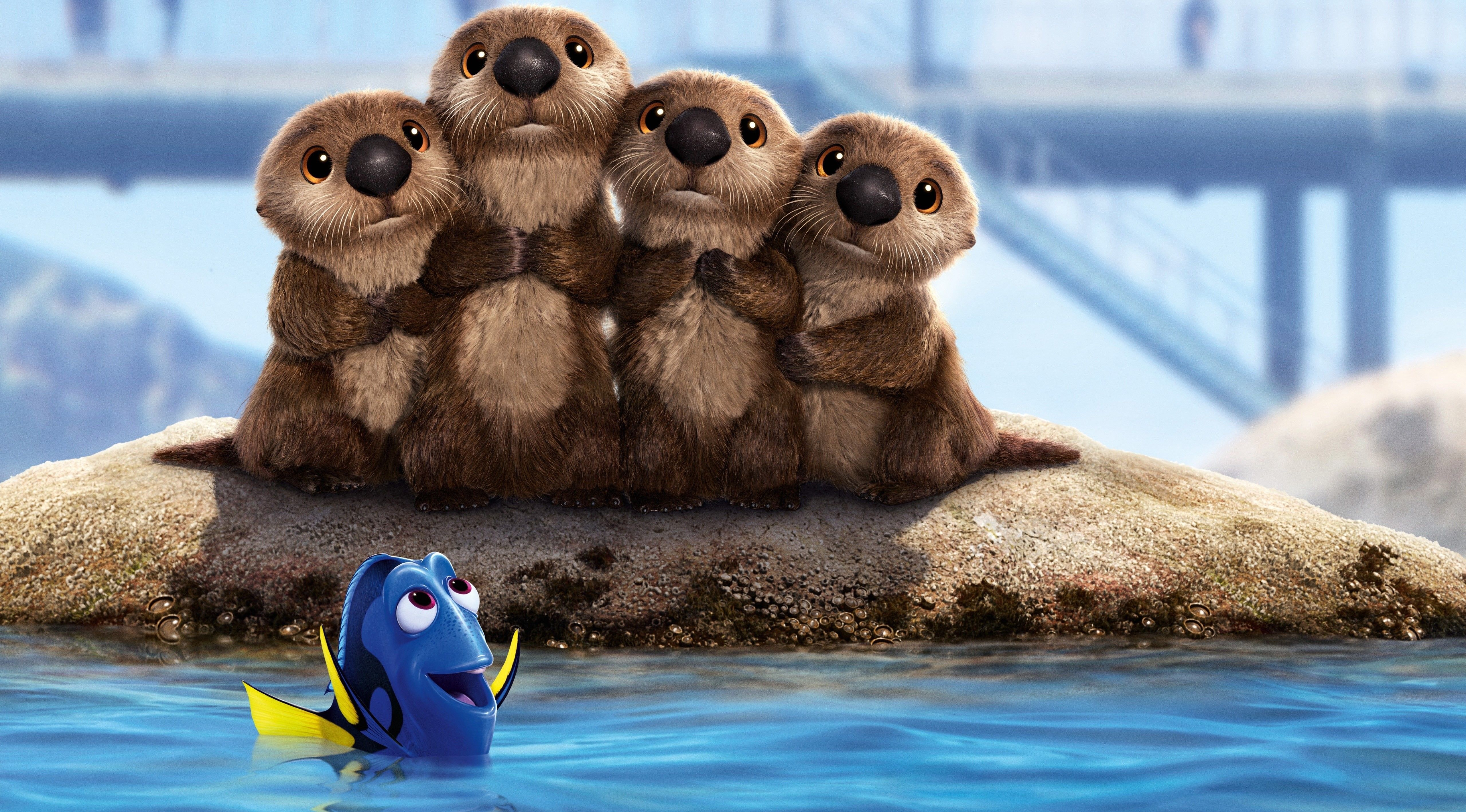Dory e lontre marine, 5120x2837 4K, Desktop 4K