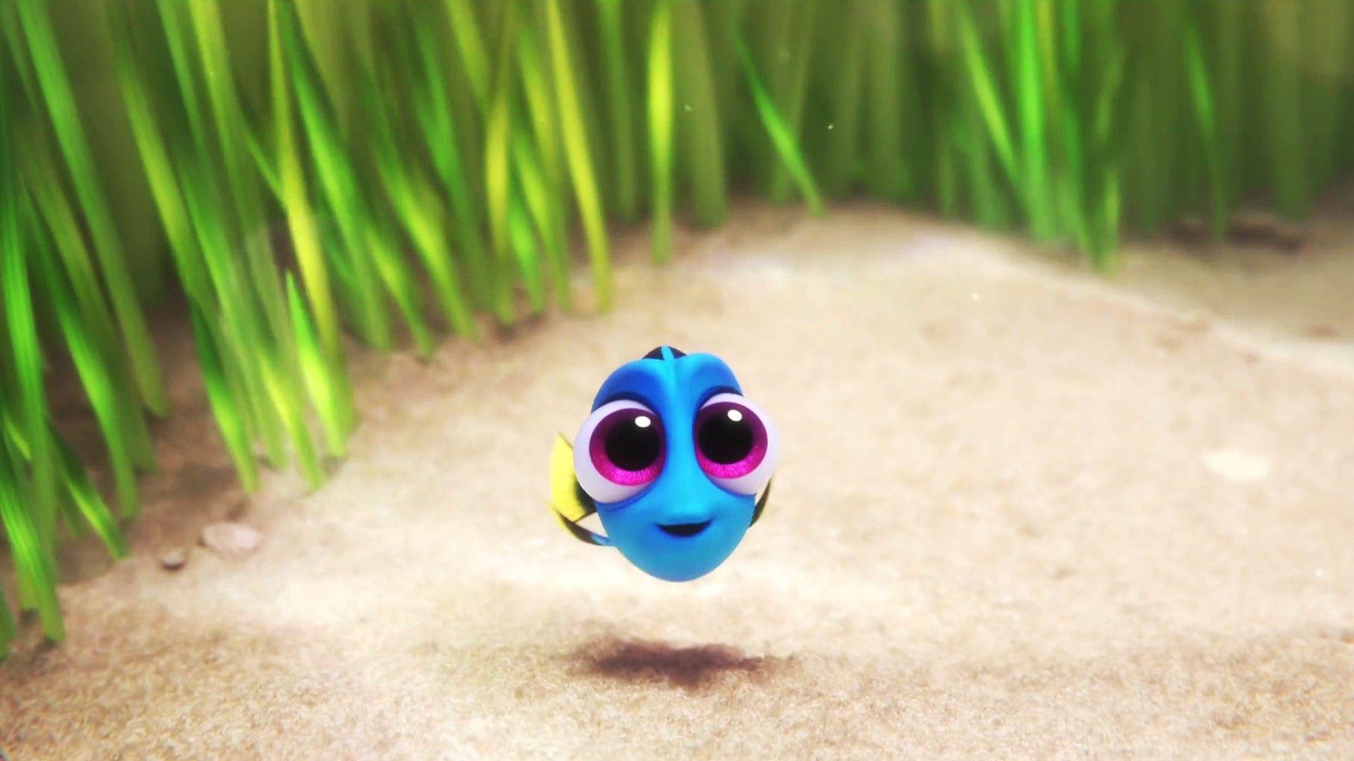 Dory da piccola, Alla Ricerca di Dory, 1920x1080 1080p, Laptop