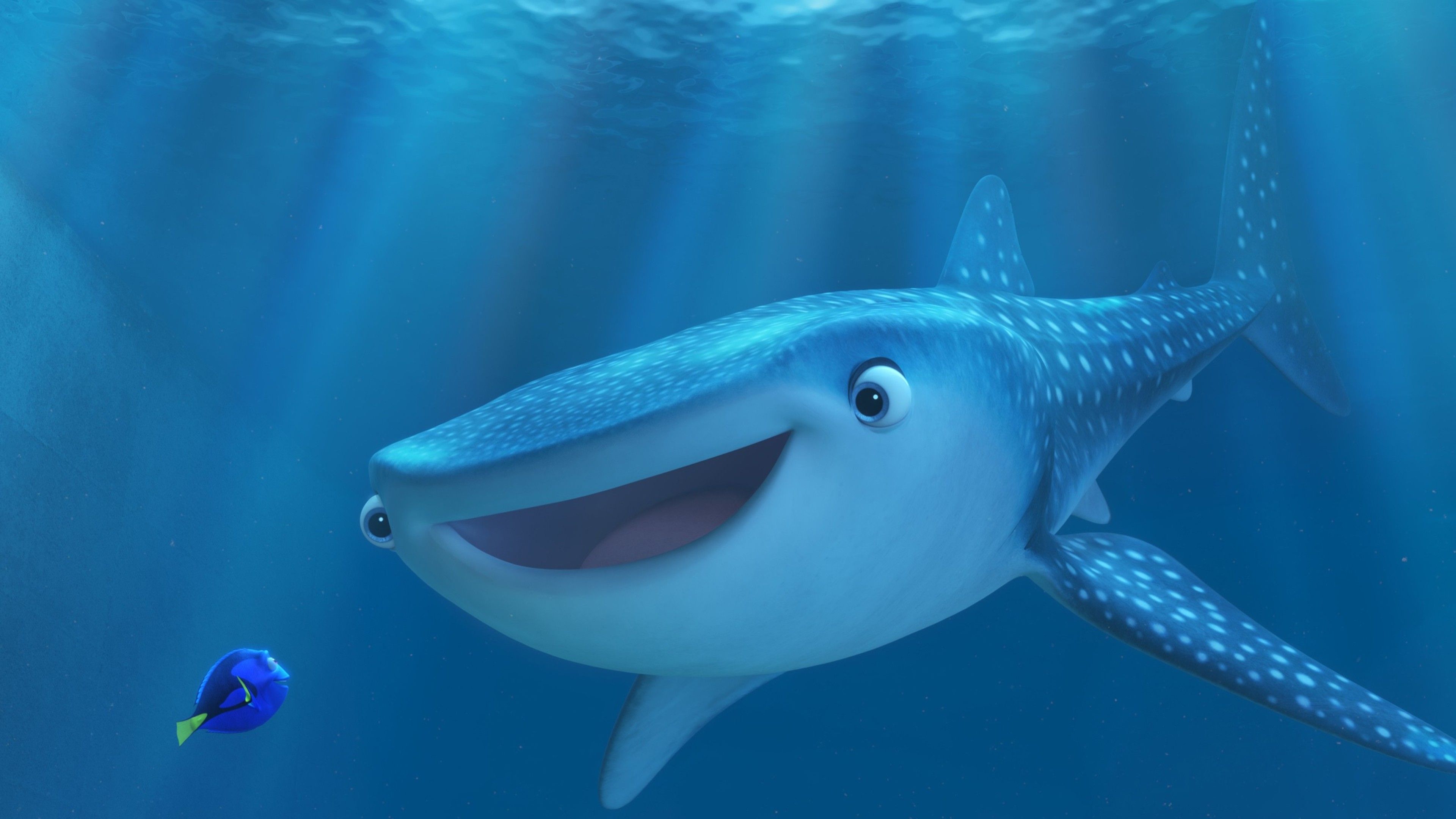 Squalo balena e Dory, 3840x2160 4K Ultra HD, Monitor 4K