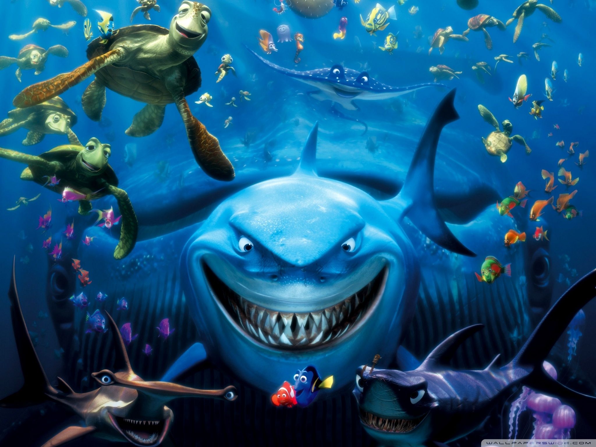 Squalo e personaggi Alla Ricerca di Nemo, 2048x1536 Hi-Res, PC Desktop