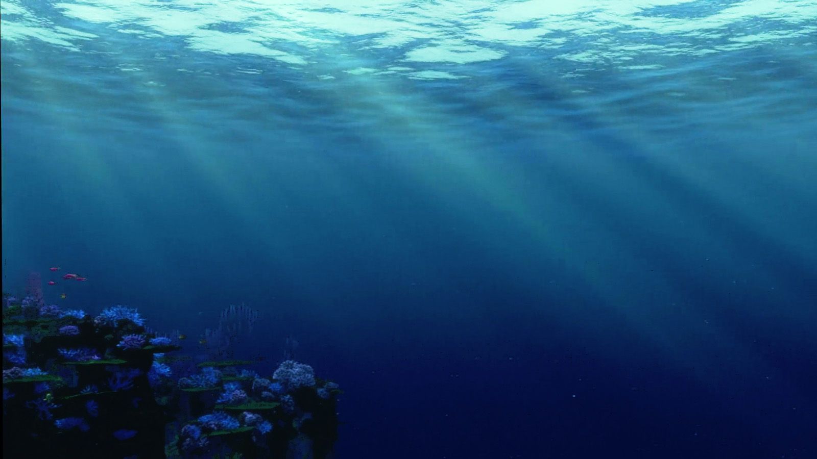 Fondale marino sottomarino blu, 1600x900 900p, Desktop
