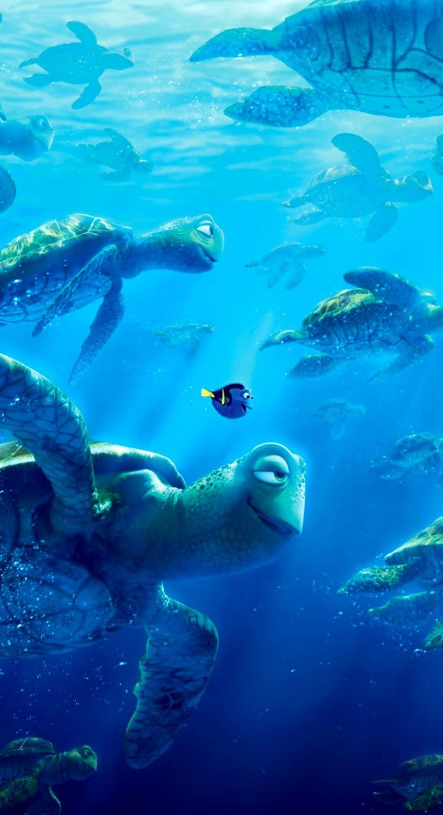 Tartarughe marine e Dory oceano, 871x1600 Full HD Verticale, Smartphone