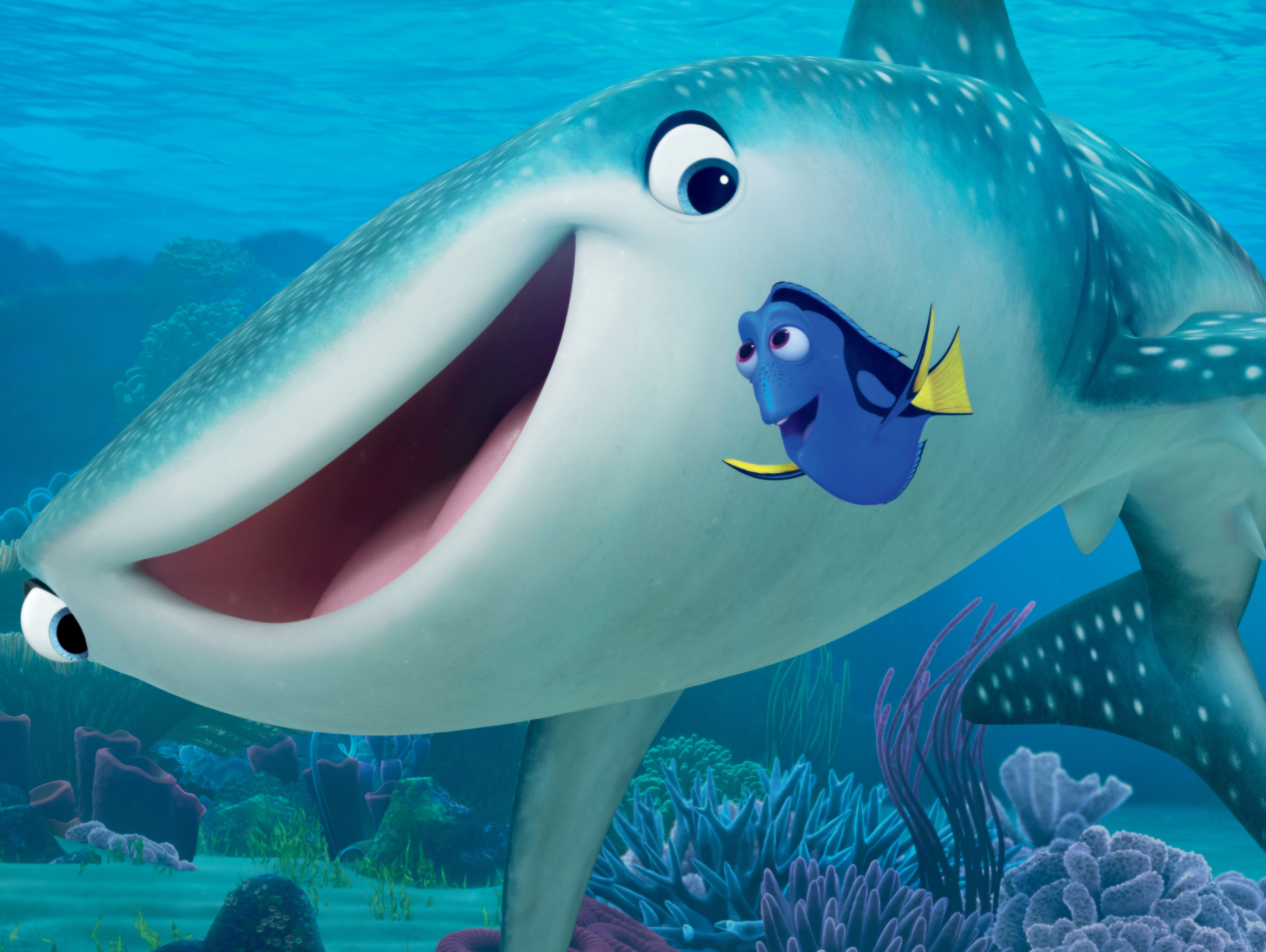 Dory e squalo balena, 7980x6000 4K, Desktop 4K