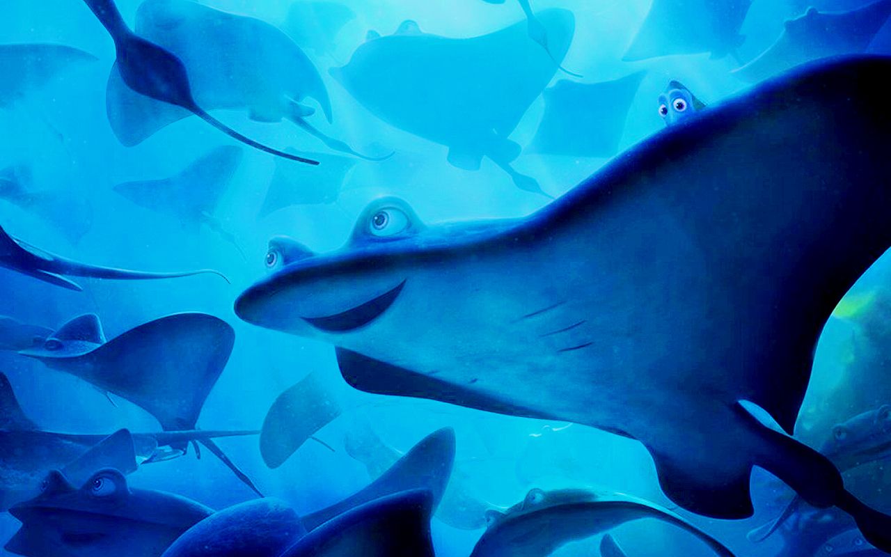 Razze oceano blu Dory, 1280x800 720p, Laptop