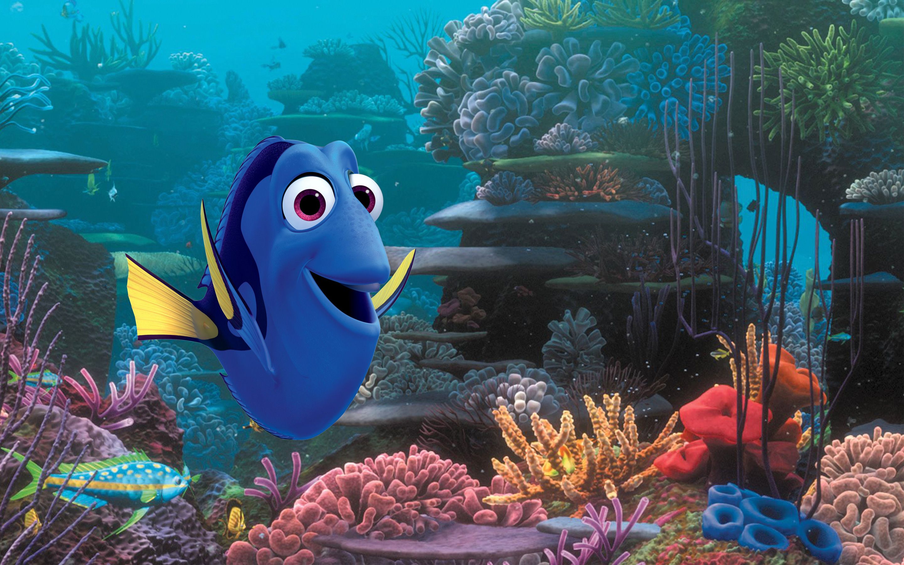 Dory pesce chirurgo corallo, 2880x1800 WQXGA, Desktop