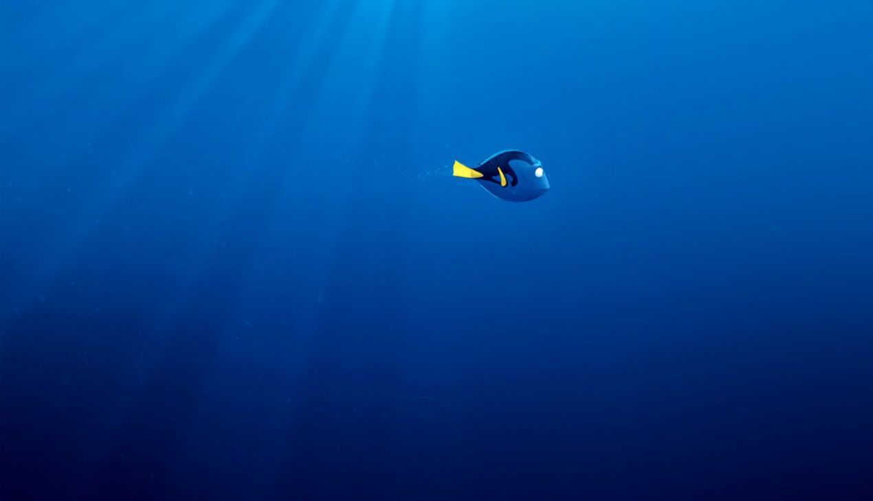 Dory pesce oceano blu, 1270x729 HD, iMac