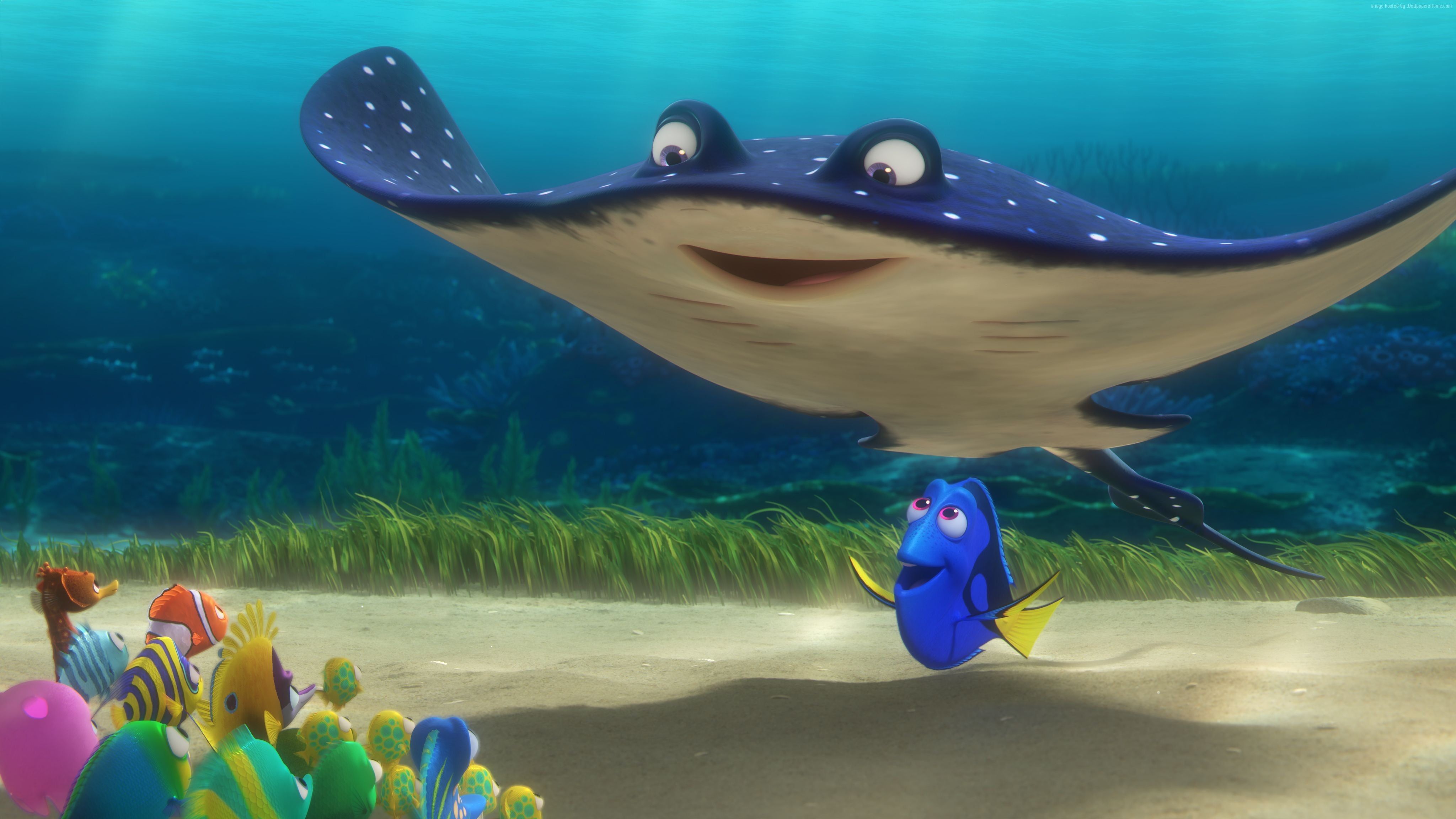 Dory e razza oceano, 4096x2304 4K Ultra HD, Monitor 4K
