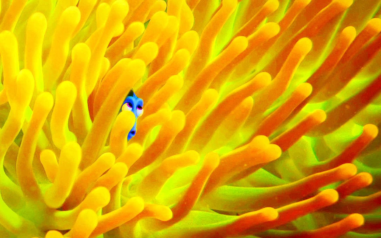 Dory anemone corallo giallo, 1280x800 HD, Notebook Gaming