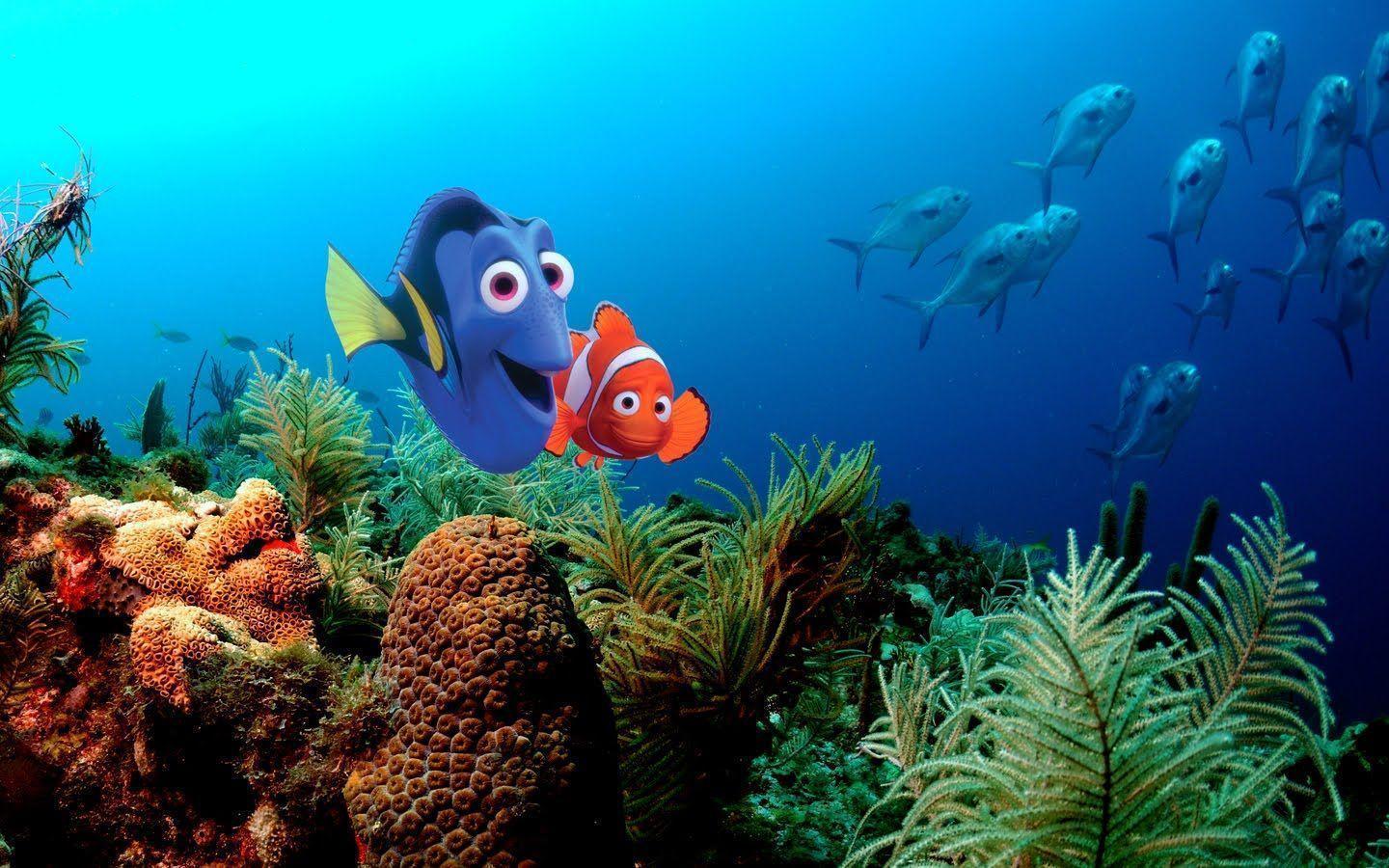 Dory e Nemo barriera corallina, 1440x900 HD, Desktop