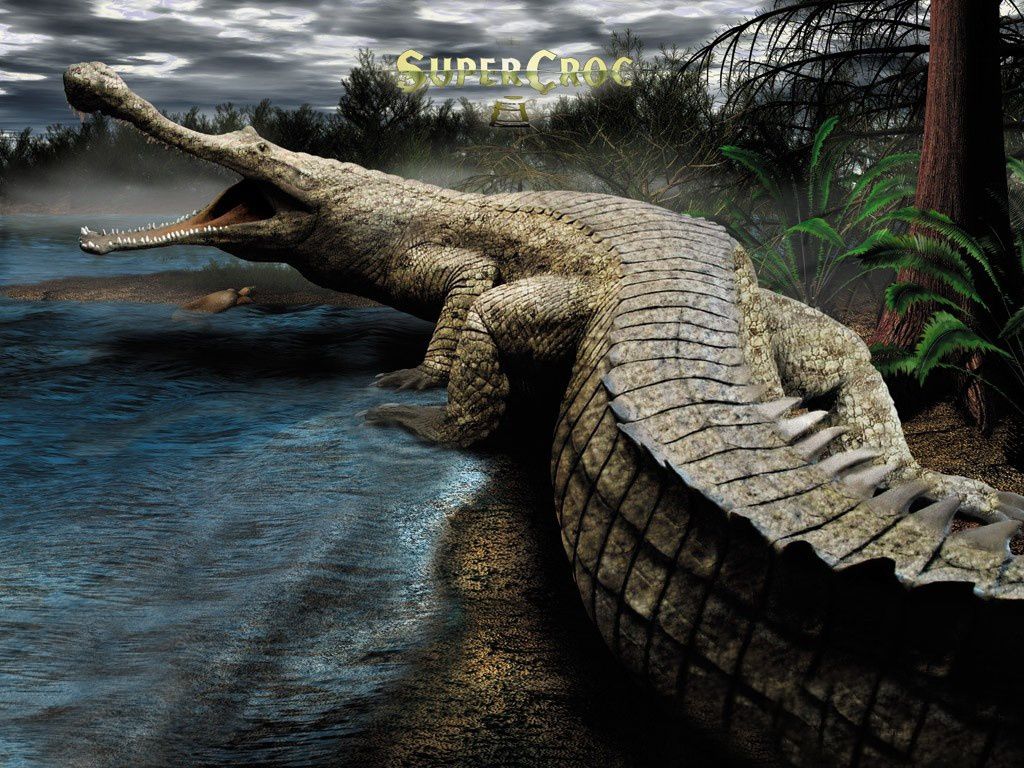Coccodrillo gigante riva fiume, 1024x768 HD, Desktop