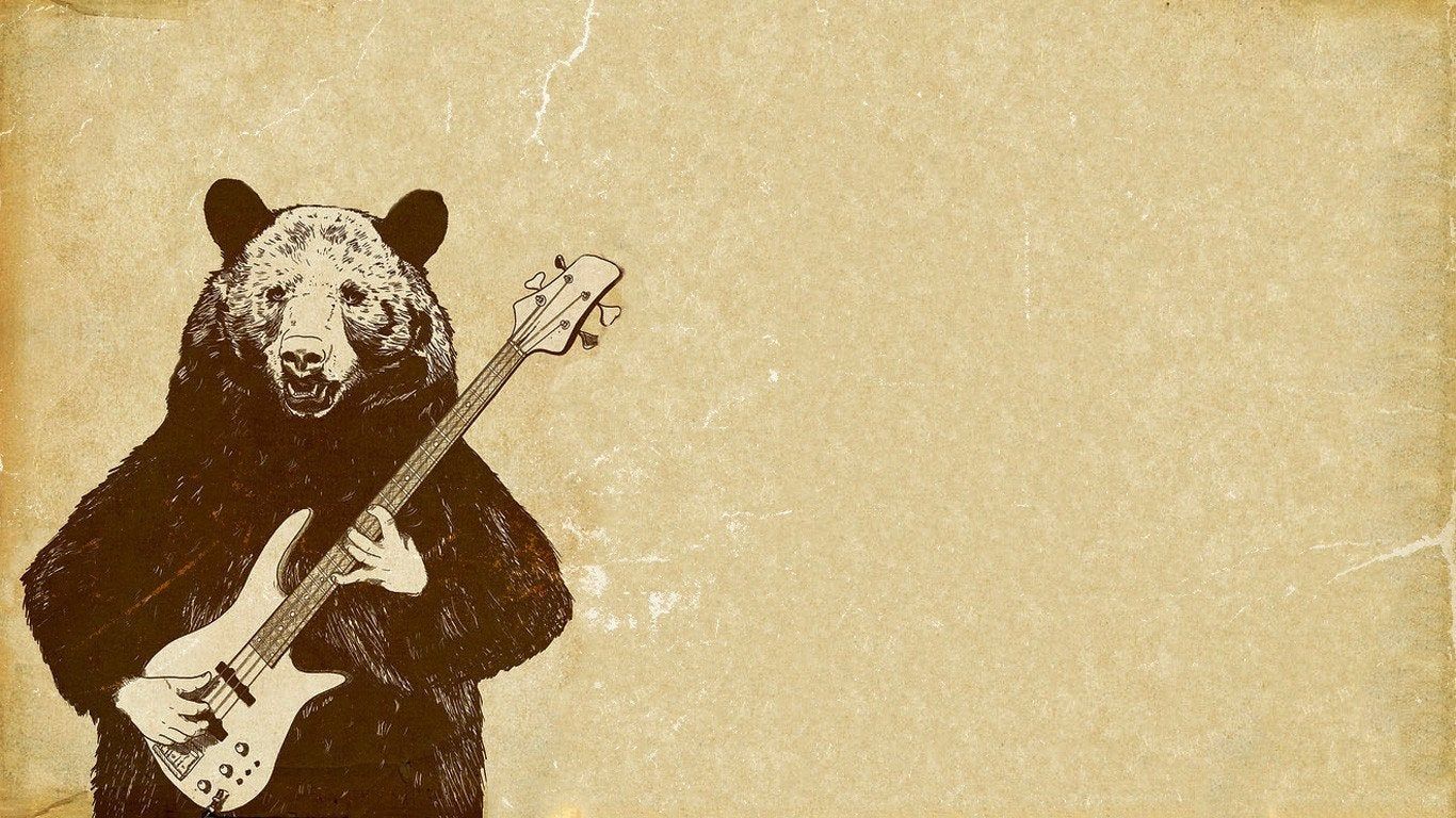 Orso che suona il basso, 1366x768 HD, Desktop