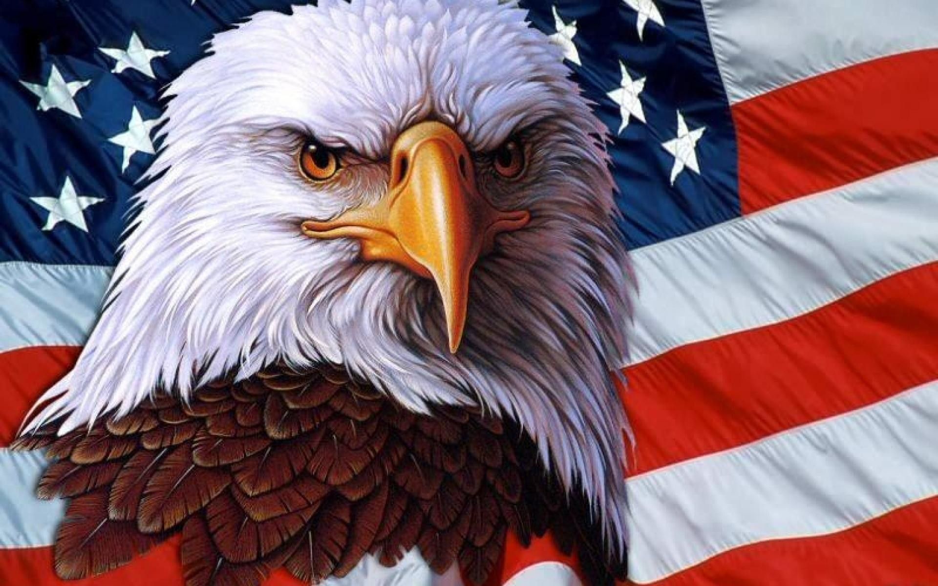 Aquila calva e bandiera americana, 1920x1200 Full HD+, Desktop
