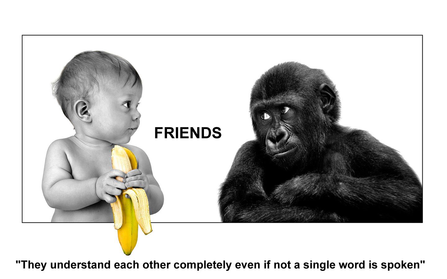 Bimbo con banana e gorilla, 1440x900 HD, MacBook Air