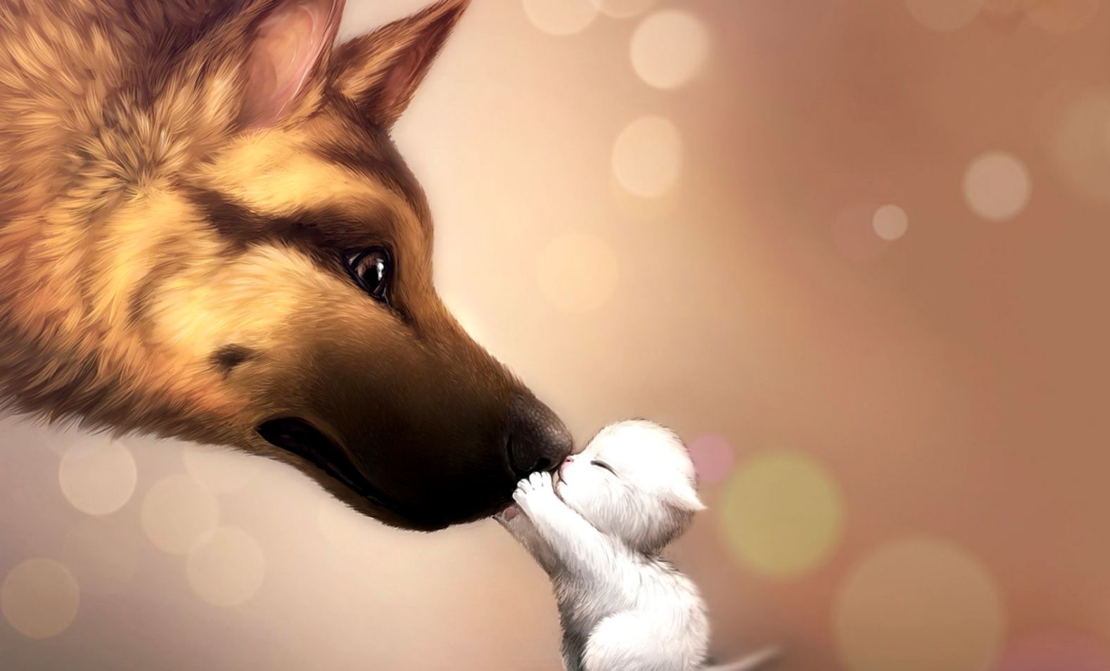 Cane e coniglio bianco amici, 1578x954 720p, Laptop