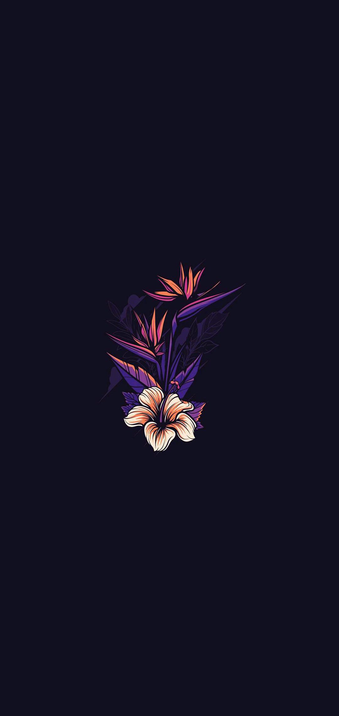Fiori viola su nero, 1080x2280 Full HD Verticale, iPhone