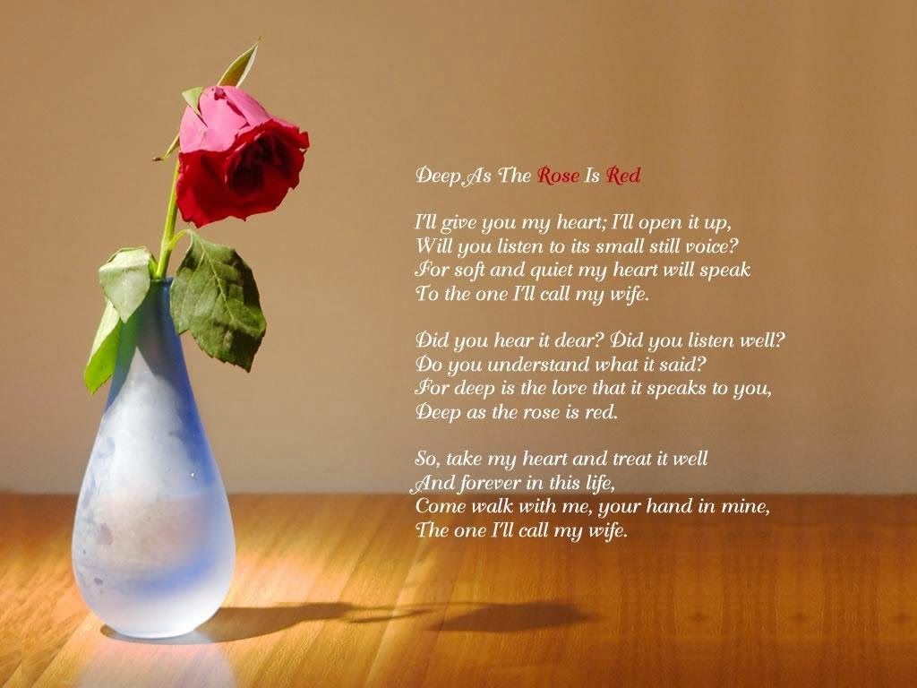 Rosa rossa in vaso con poesia, 1024x768 HD, Laptop