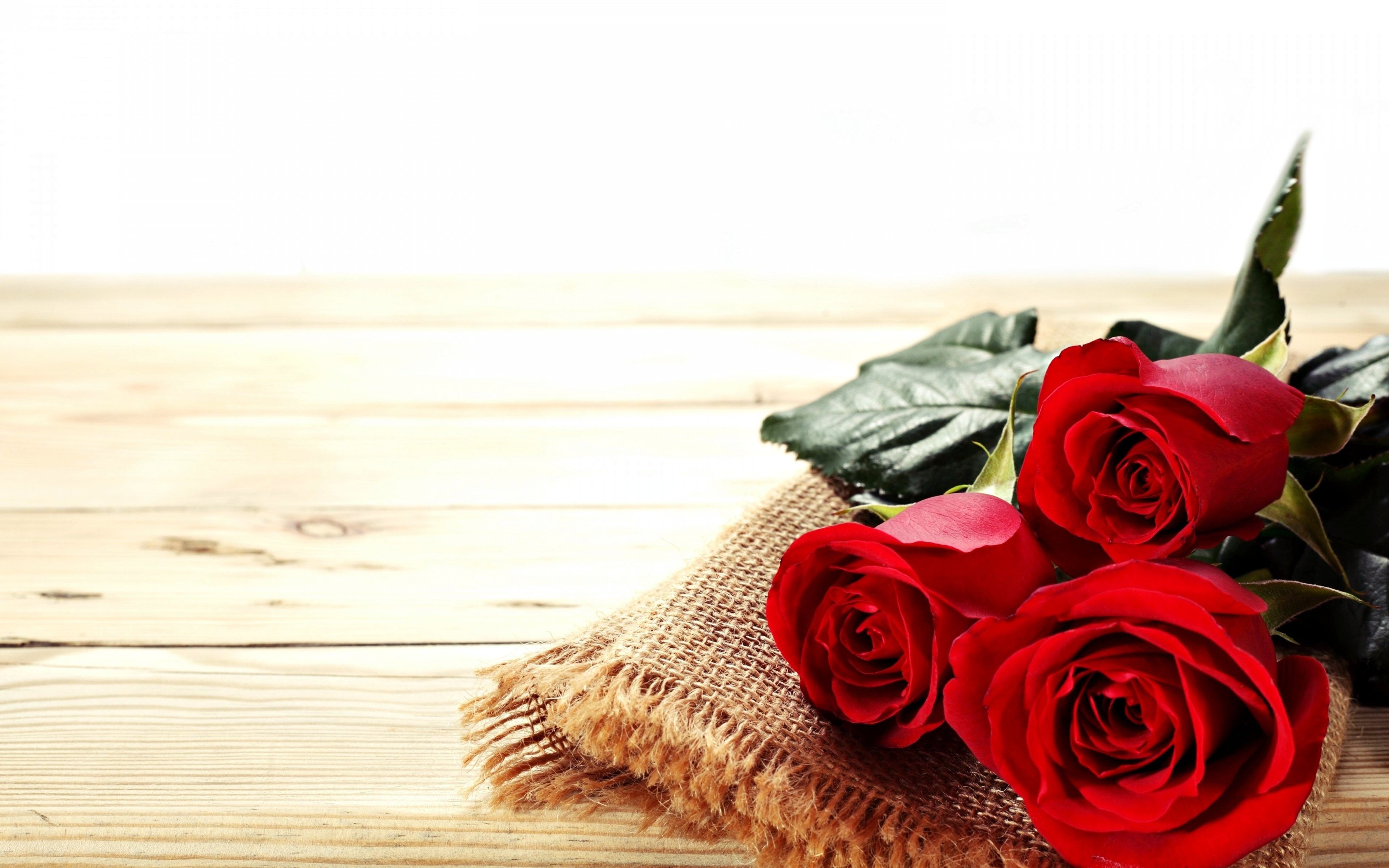 Rose rosse su tavolo legno, 3840x2400 UHD, Monitor 4K