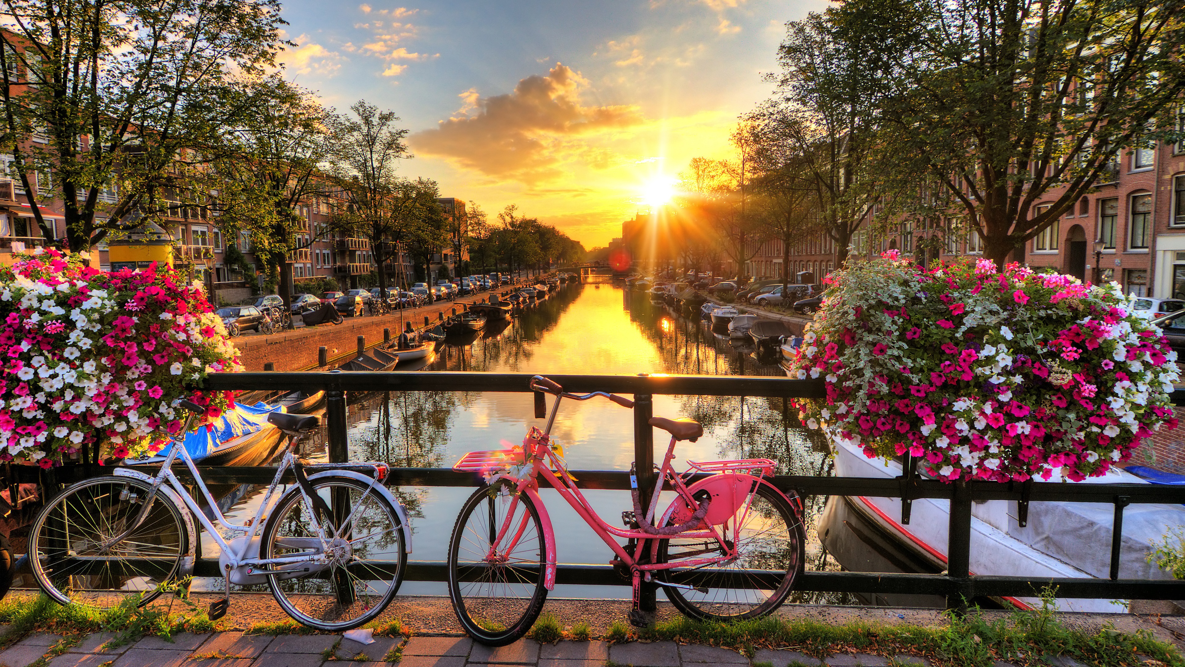 Biciclette e fiori canale Amsterdam, 3840x2160 Ultra HD, 4K TV