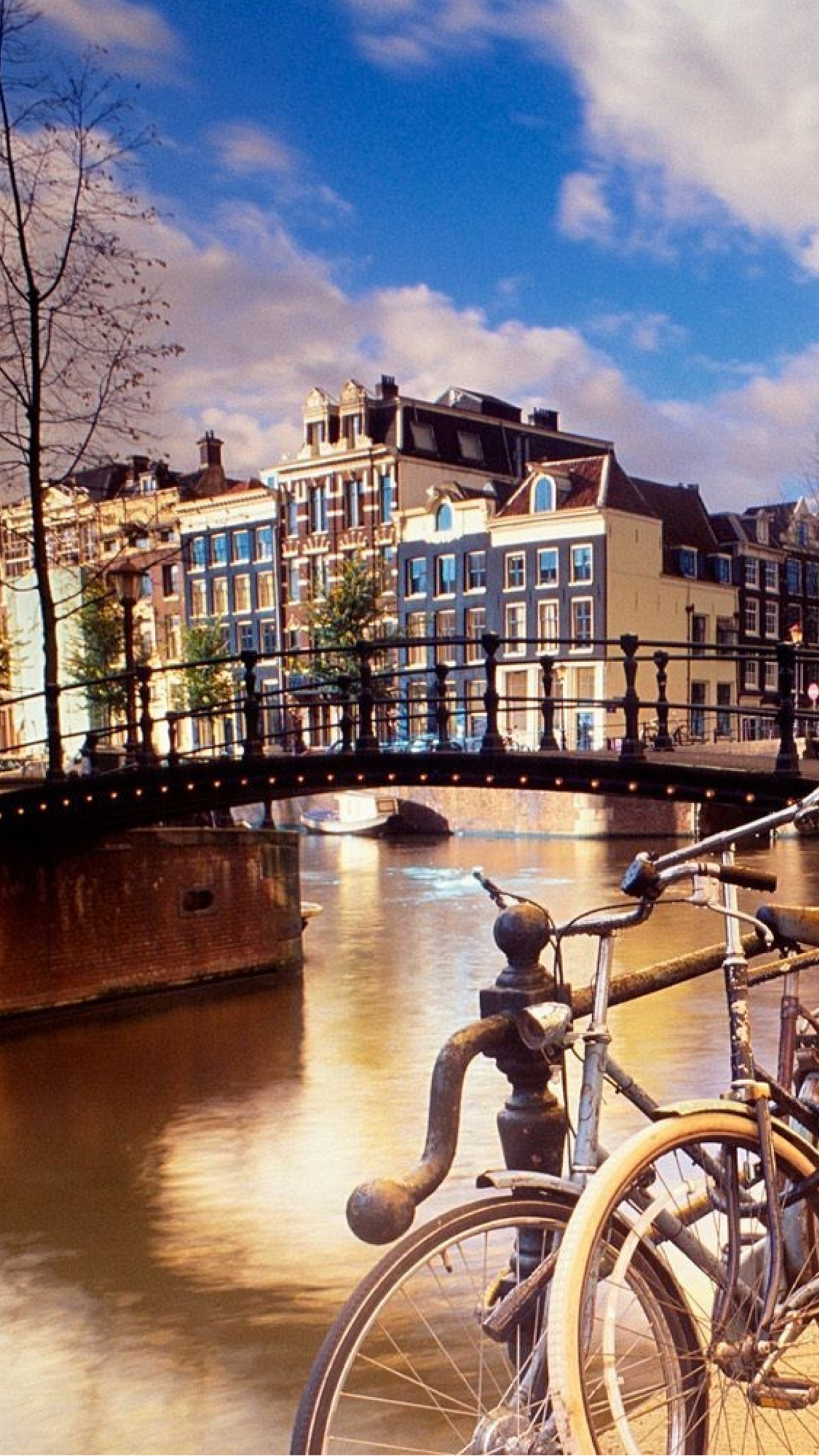 Canale e biciclette Amsterdam, 1242x2208 Full HD Verticale, iPhone
