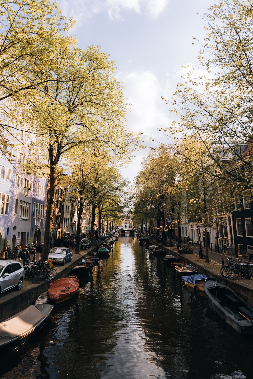 Canale di Amsterdam con alberi, 1000x1500 Verticale, Telefono