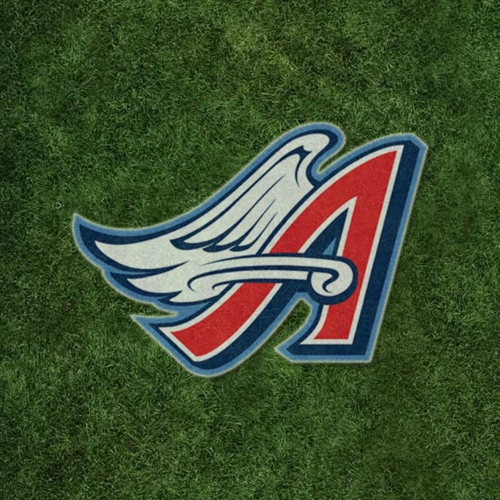 Logo Anaheim Ducks arancione, 1920x1200 WUXGA, Desktop