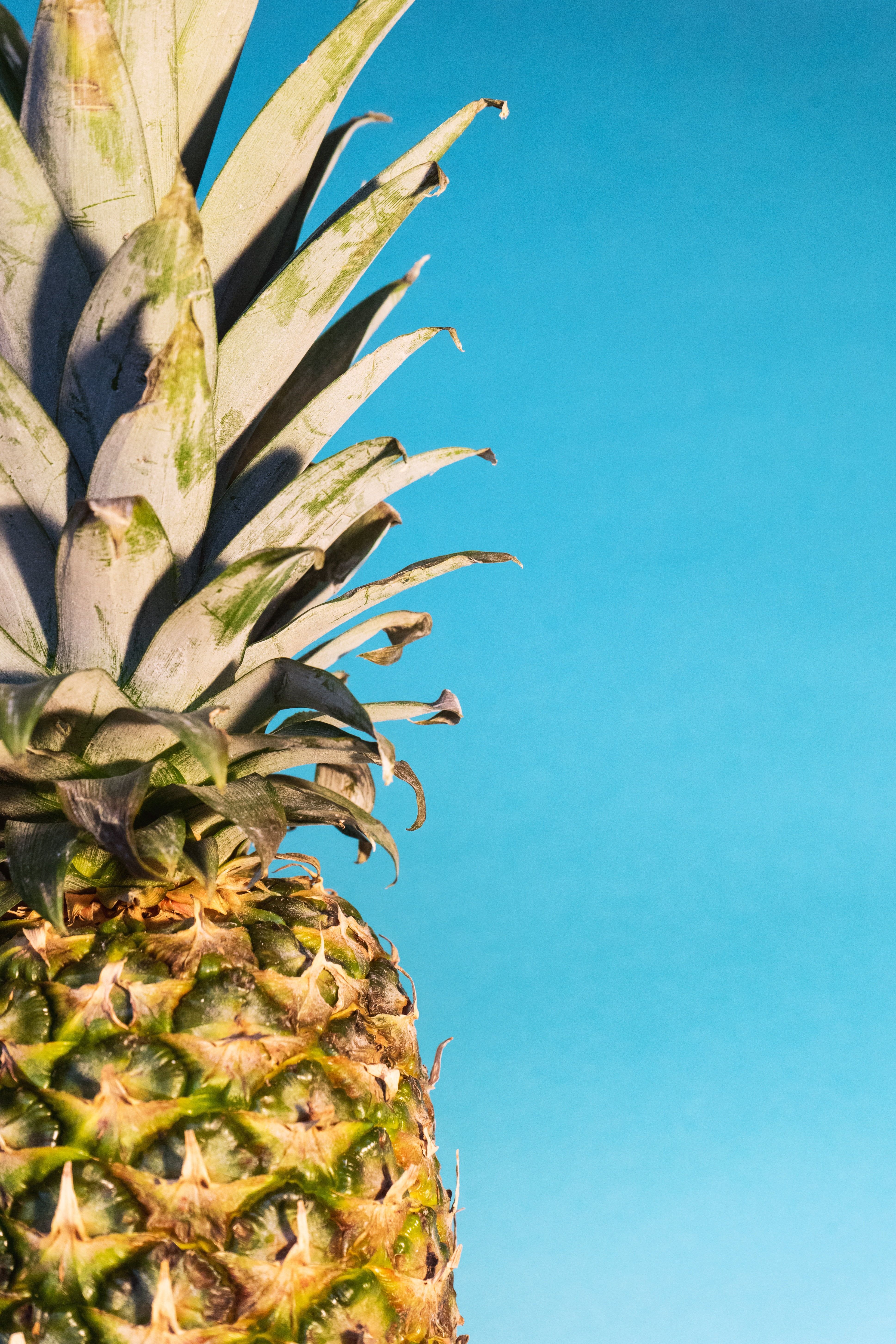 Ananas su sfondo azzurro, 3875x5812 Full HD Verticale, iPhone Pro Max