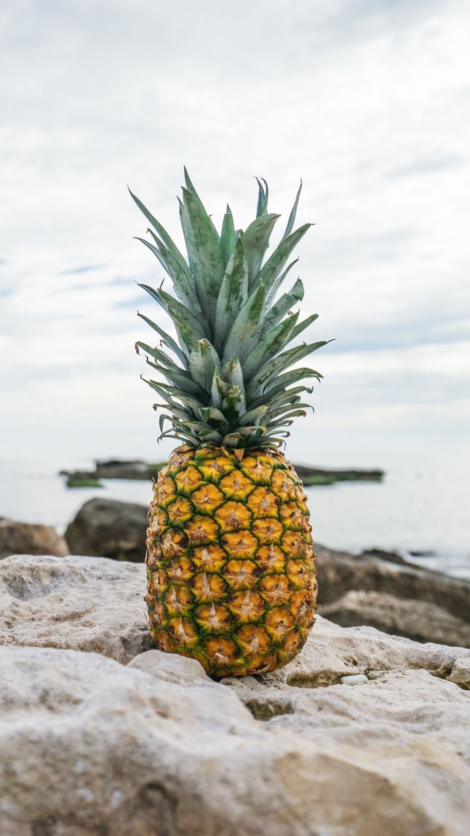 Ananas su rocce spiaggia, 938x1668 Full HD Verticale, iPhone Air