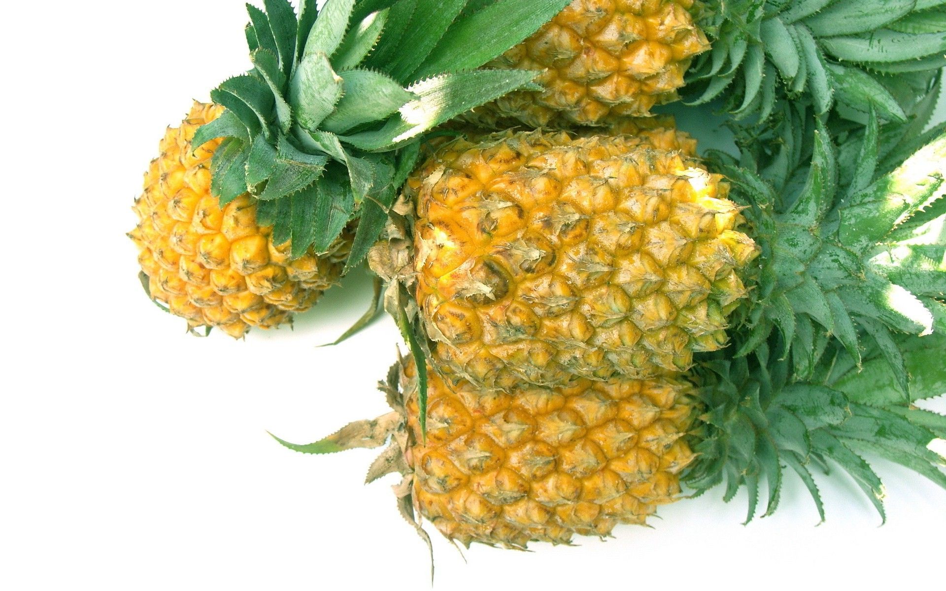 Ananas verde acquerello, 948x1422 Full HD Verticale, iPhone Air