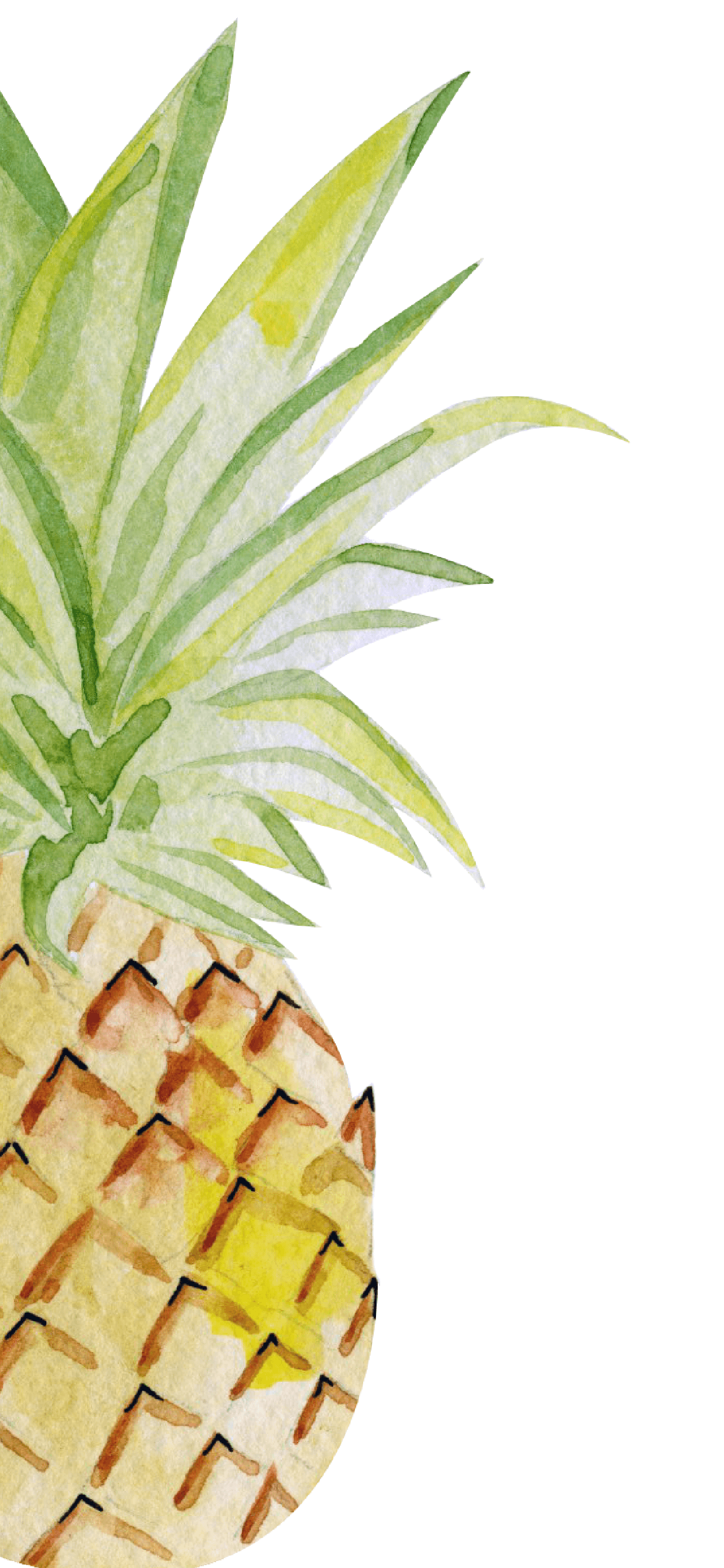 Ananas acquerello sfondo bianco, 1242x2688 Verticale, iPhone Plus