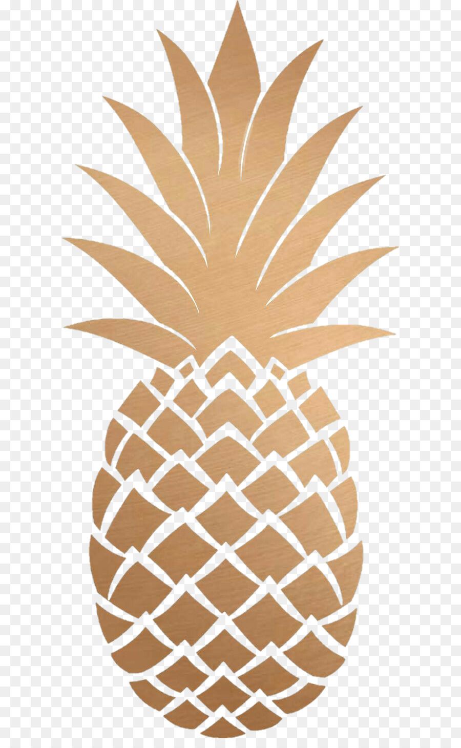 Ananas su sfondo bianco, 1920x1200 WUXGA, Desktop