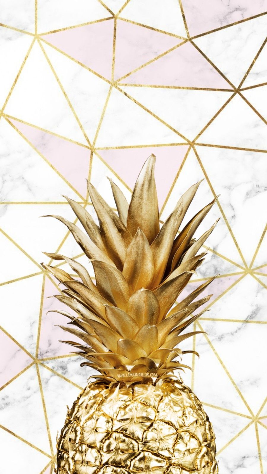 Ananas dorato su marmo geometrico, 900x1600 Full HD Verticale, iPhone Air