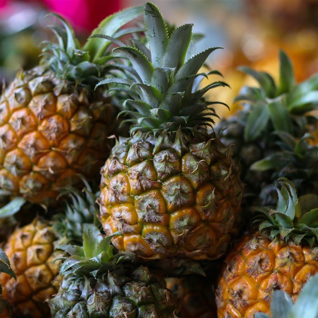 Ananas freschi al mercato, 1024x1024 HD, Desktop