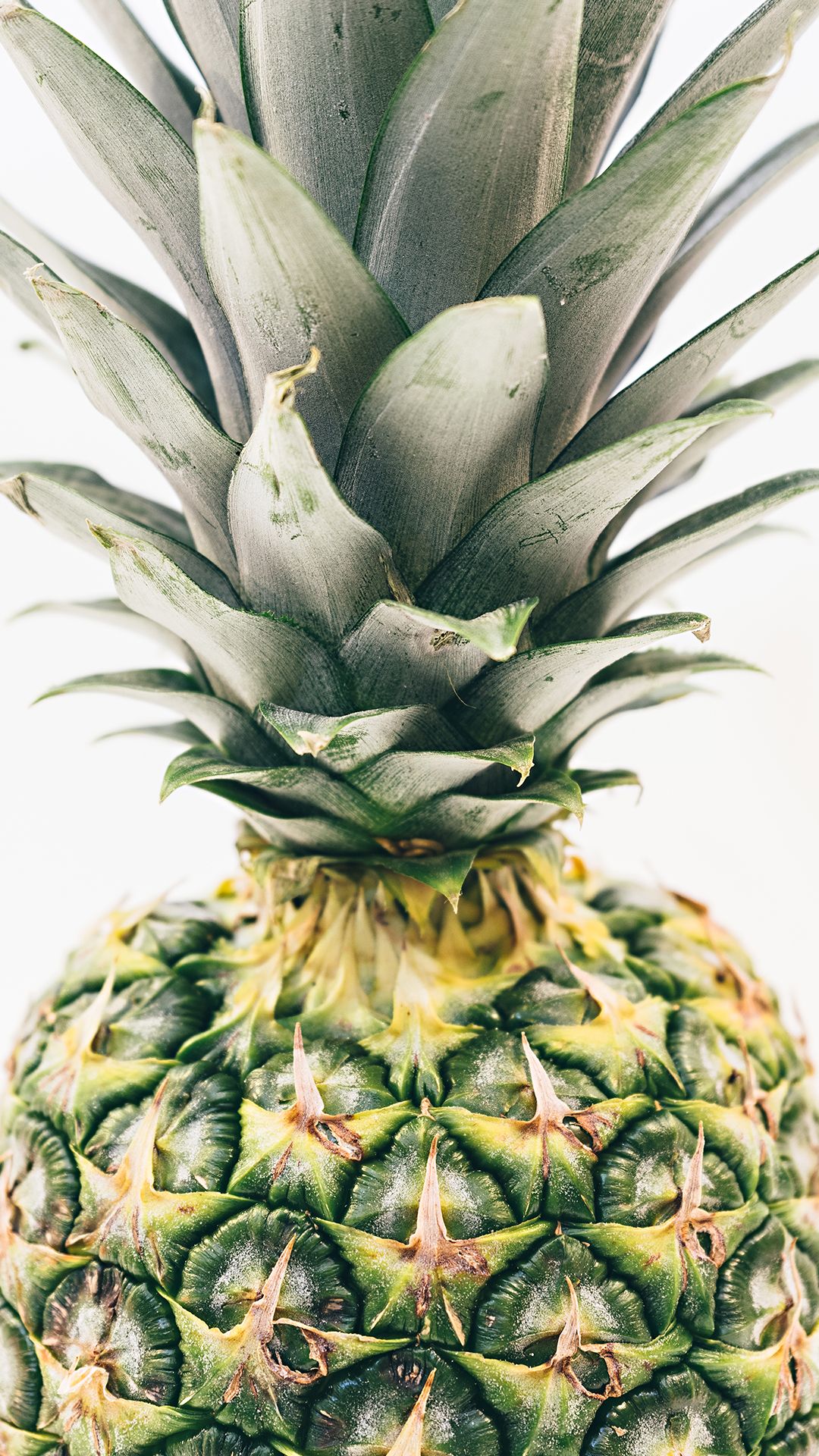 Ananas primo piano verde, 1080x1920 Full HD Verticale, iPhone