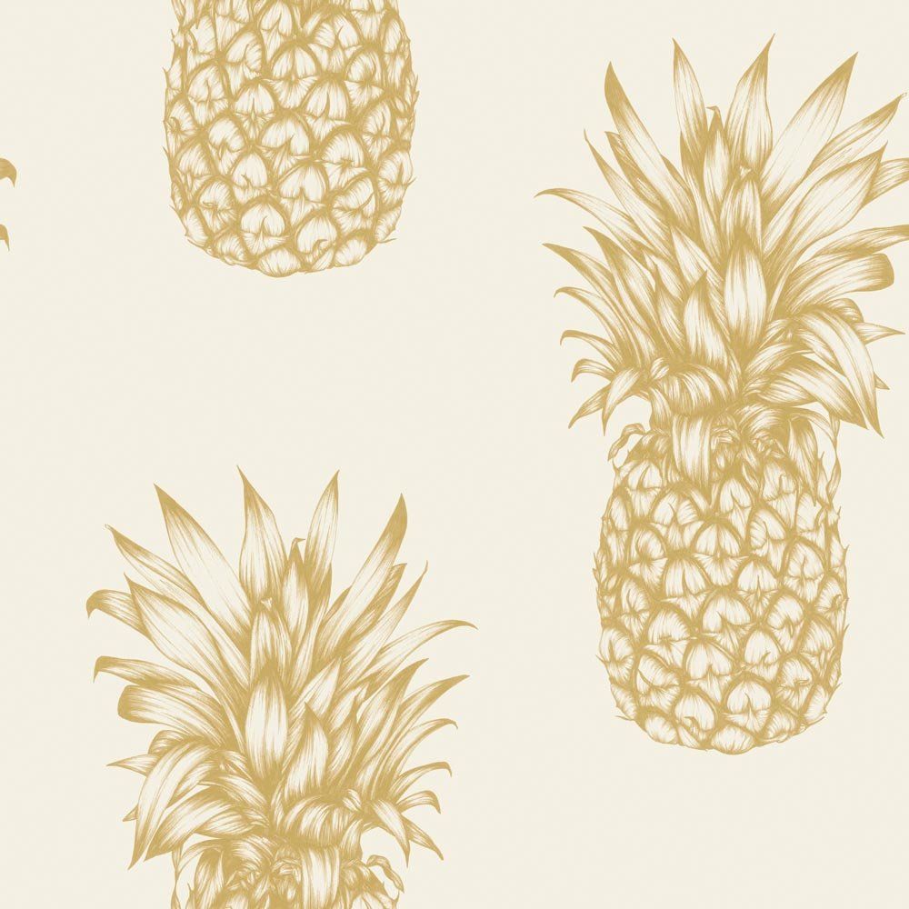 Ananas dorati su sfondo crema, 1000x1000 HD, Laptop