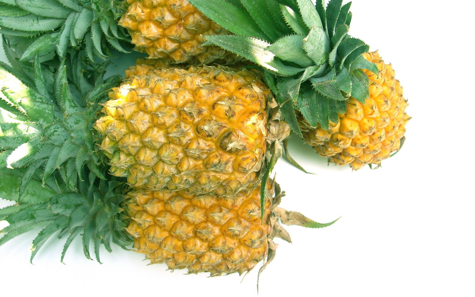 Ananas su sfondo bianco, 1920x1200 Full HD+ WUXGA, PC