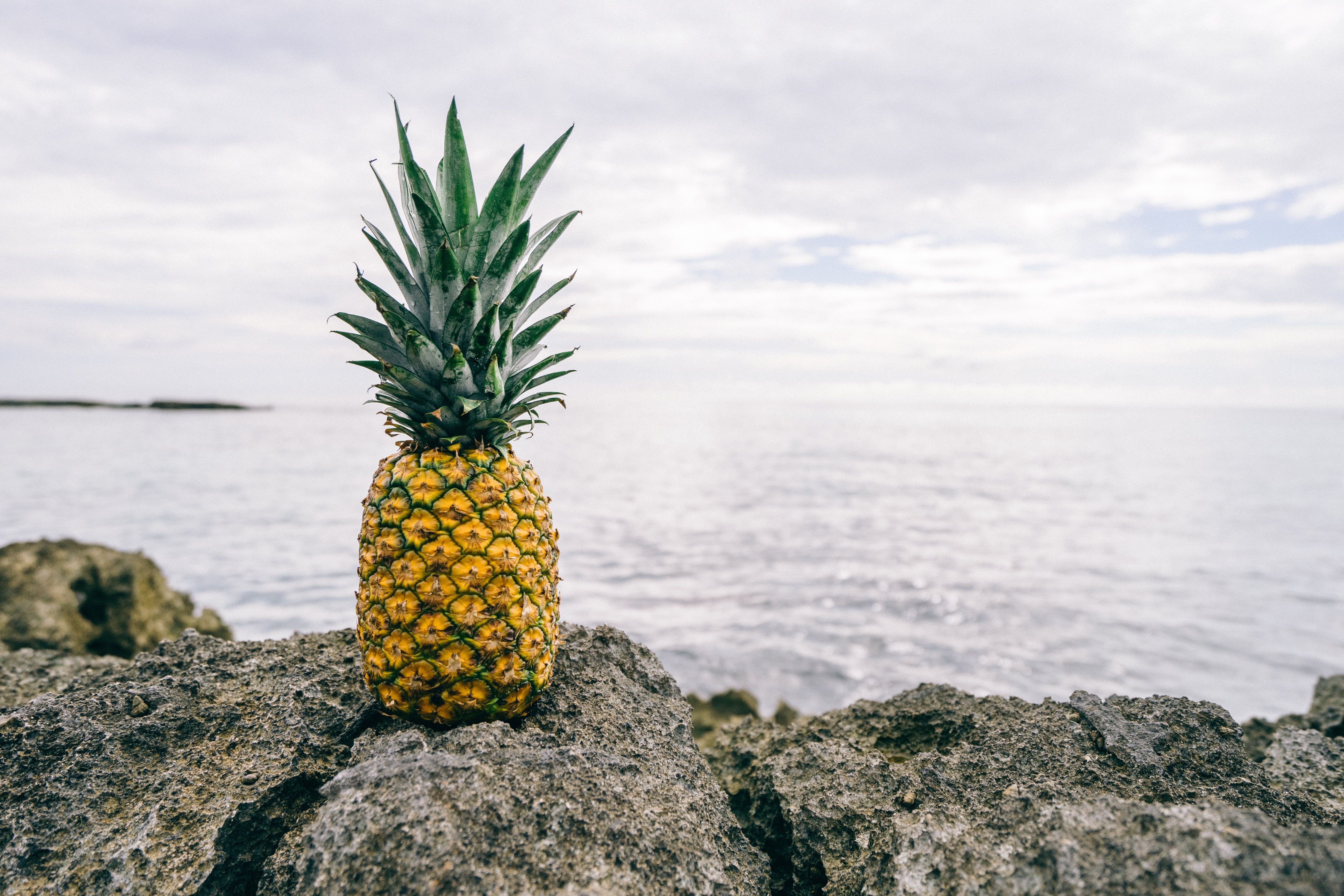 Ananas su scogliera al mare, 5776x3851 4K, Desktop 4K