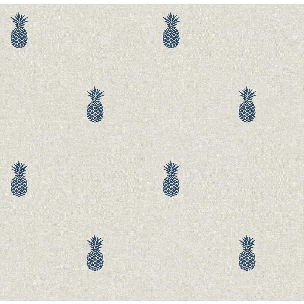 Ananas blu su sfondo beige, 1000x1000 HD, Desktop