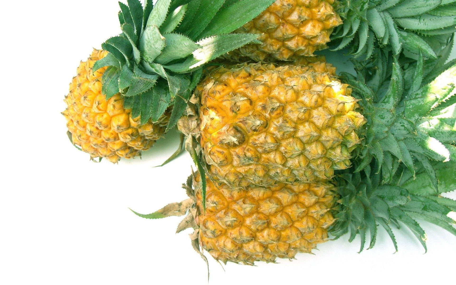 Ananas su sfondo bianco, 1920x1200 WUXGA, Laptop
