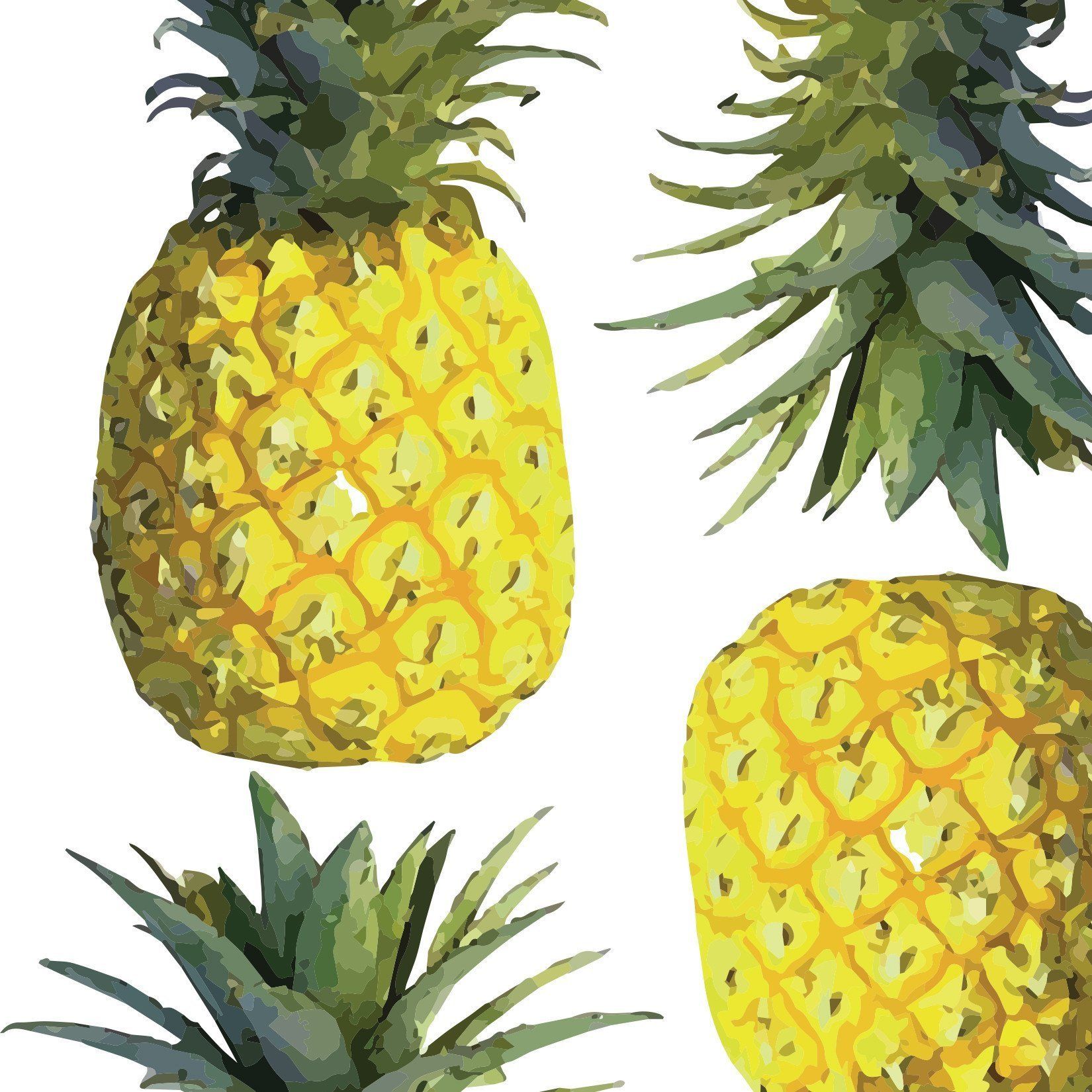 Ananas dipinti stile acquerello, 1650x1650 HD, PC