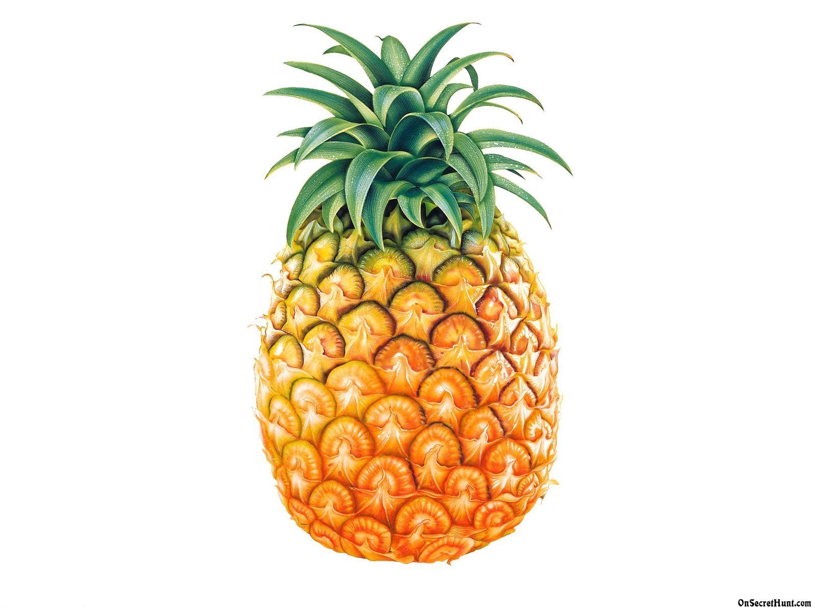 Ananas illustrato su bianco, 1600x1200 900p, Desktop